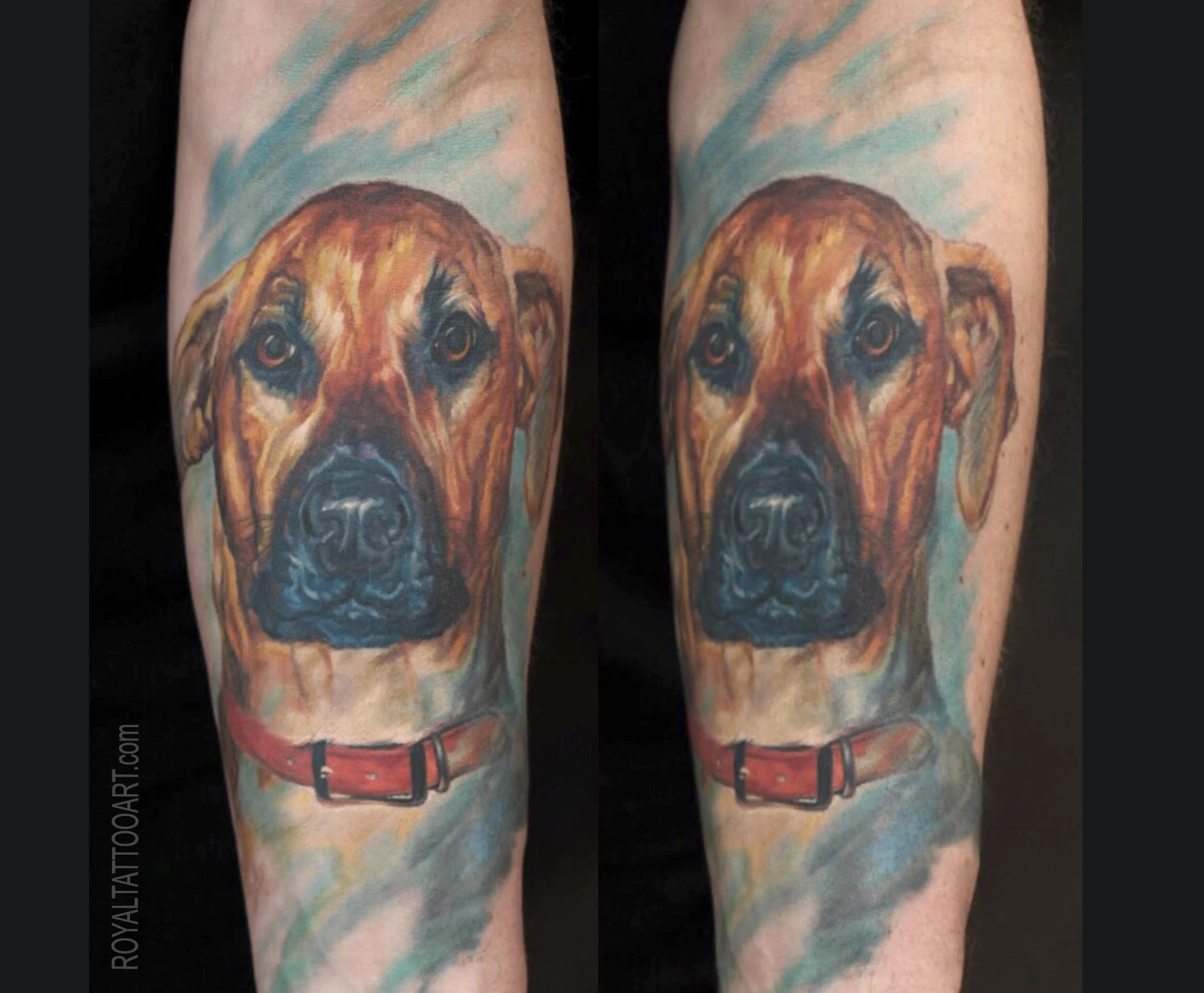 Realistic color dog portrait tattoo of a boxer mix, created with lifelike eyes, warm brown tones, and soft painterly background by Royal Jafarov at Royal Tattoo Art in NYC