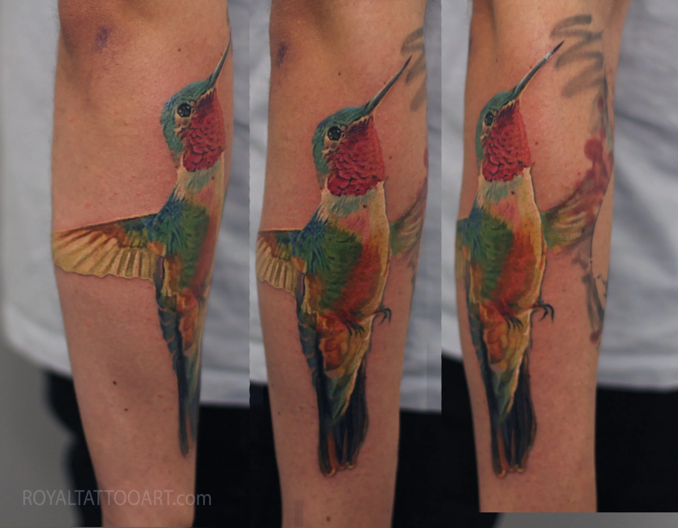 090-tim-humming-bird-tattoo-water-color-realistic-tattoo-new-york-nyc-art.jpg