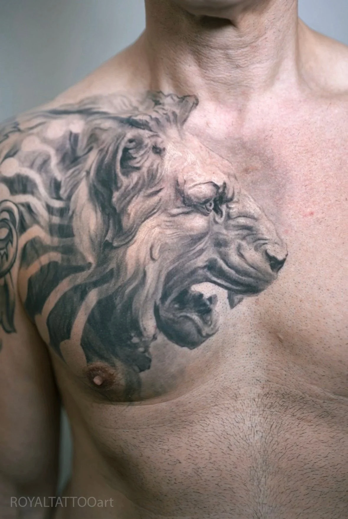 Black and grey realism chest tattoo featuring a lion and tiger composition with bold contrast, detailed fur texture, and powerful animal imagery.
