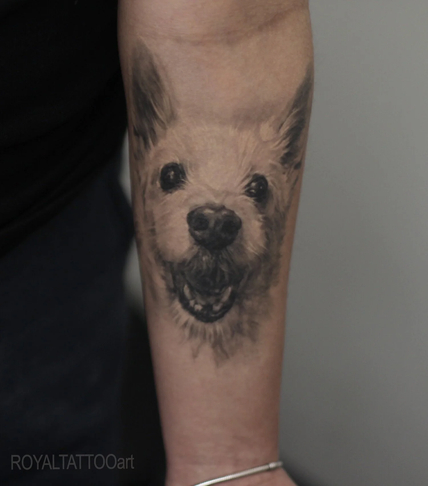 37-fluffy-dog-pet-portrait-forearm-tattoo-black-and-grey-realism-nyc.jpg