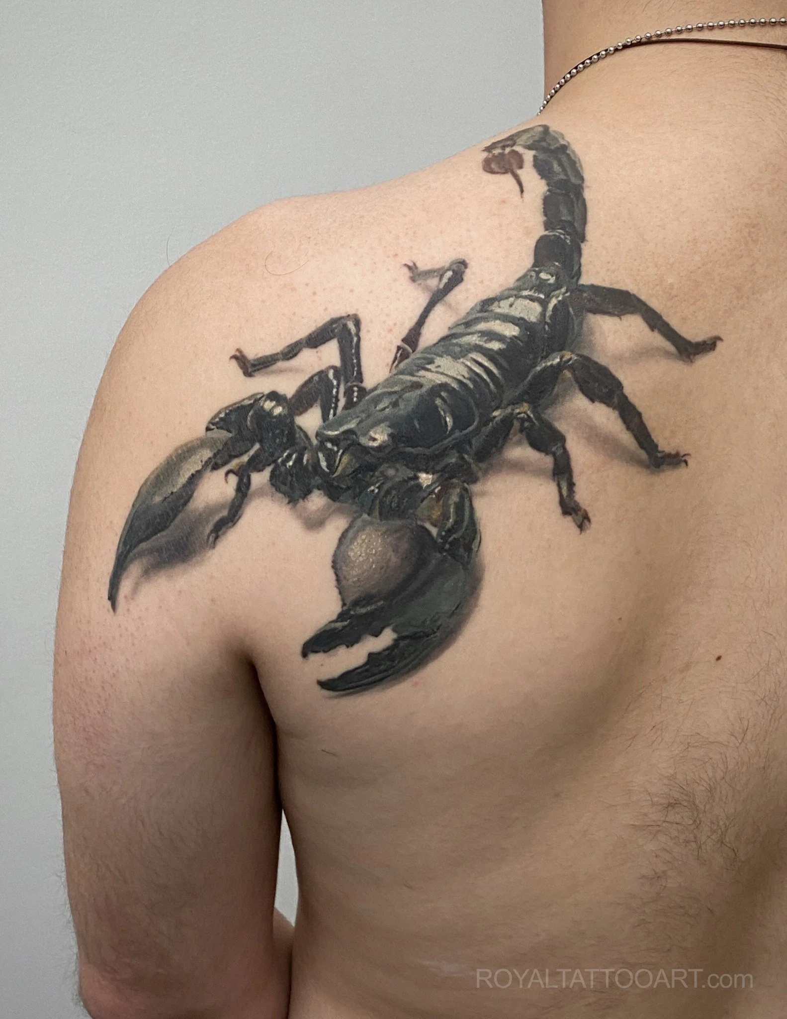 Detailed black and grey realism scorpion tattoo on the shoulder, done in NYC by Royal Tattoo Art. This dramatic exotic creature tattoo showcases the intricate anatomy of the scorpion with exceptional realism, making a powerful and symbolic body art s