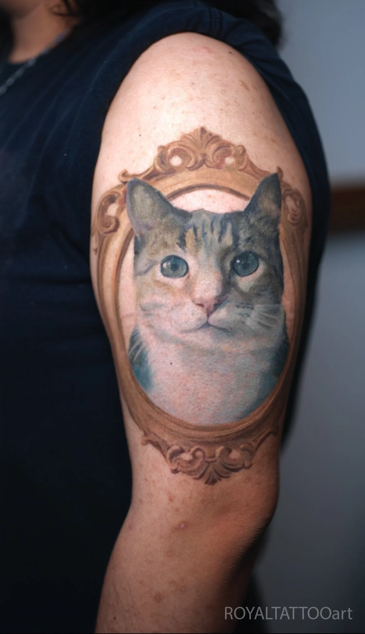 Detailed color realism cat pet portrait tattoo showcasing intricate fur texture and soulful eyes, tattooed in NYC. Royal Tattoo Art brings your cat's unique character to life through masterful color realism portrait techniques.