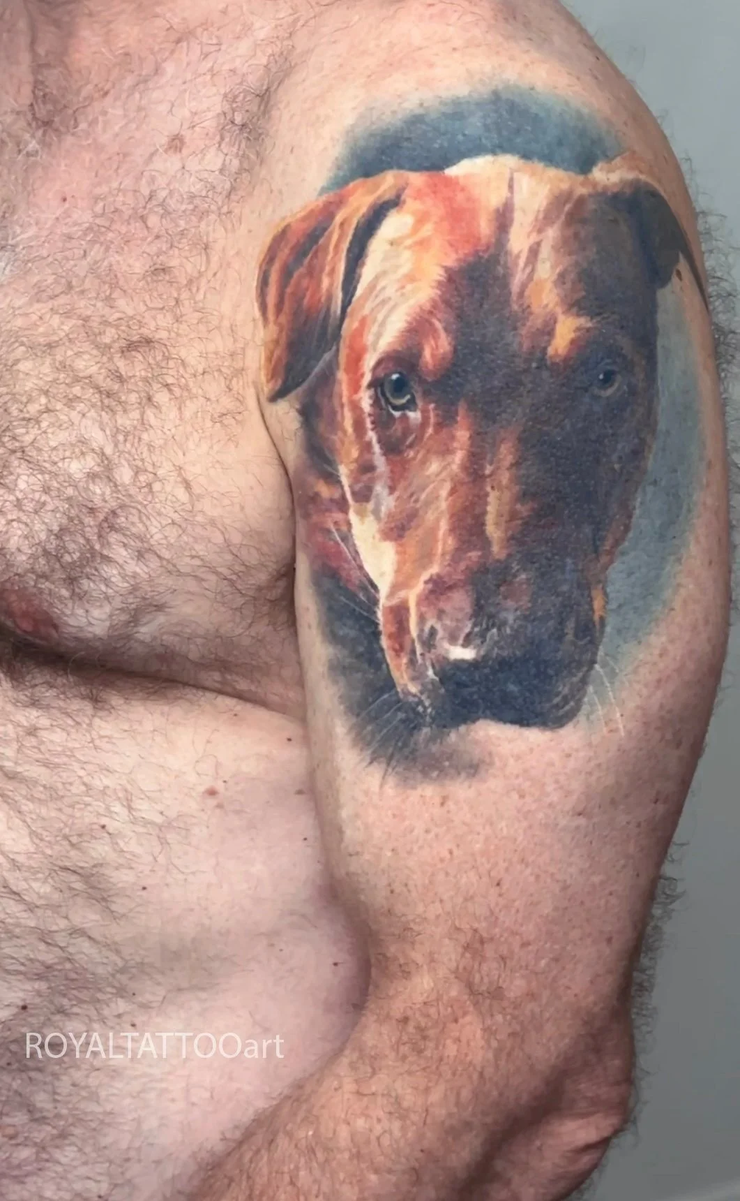 Custom dog pet portrait tattoo done in vibrant color realism style in Manhattan, NYC. Royal Tattoo Art specializes in lifelike animal portrait tattoos, preserving the unique personality of your beloved pet in stunning detail.