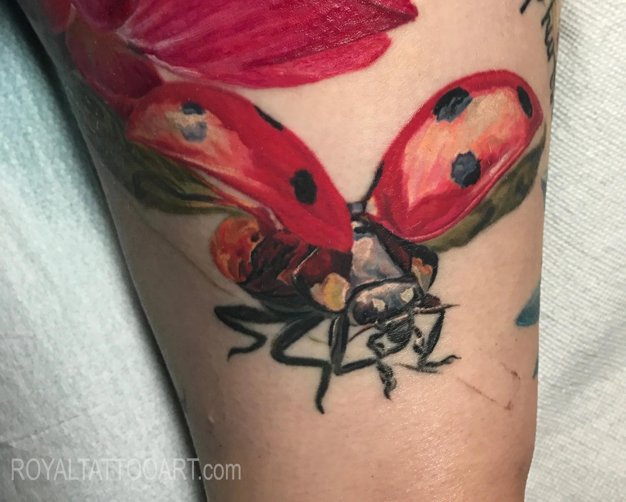 A bold color tattoo of a red ladybug with abstract brushstrokes and black script accents on the forearm.