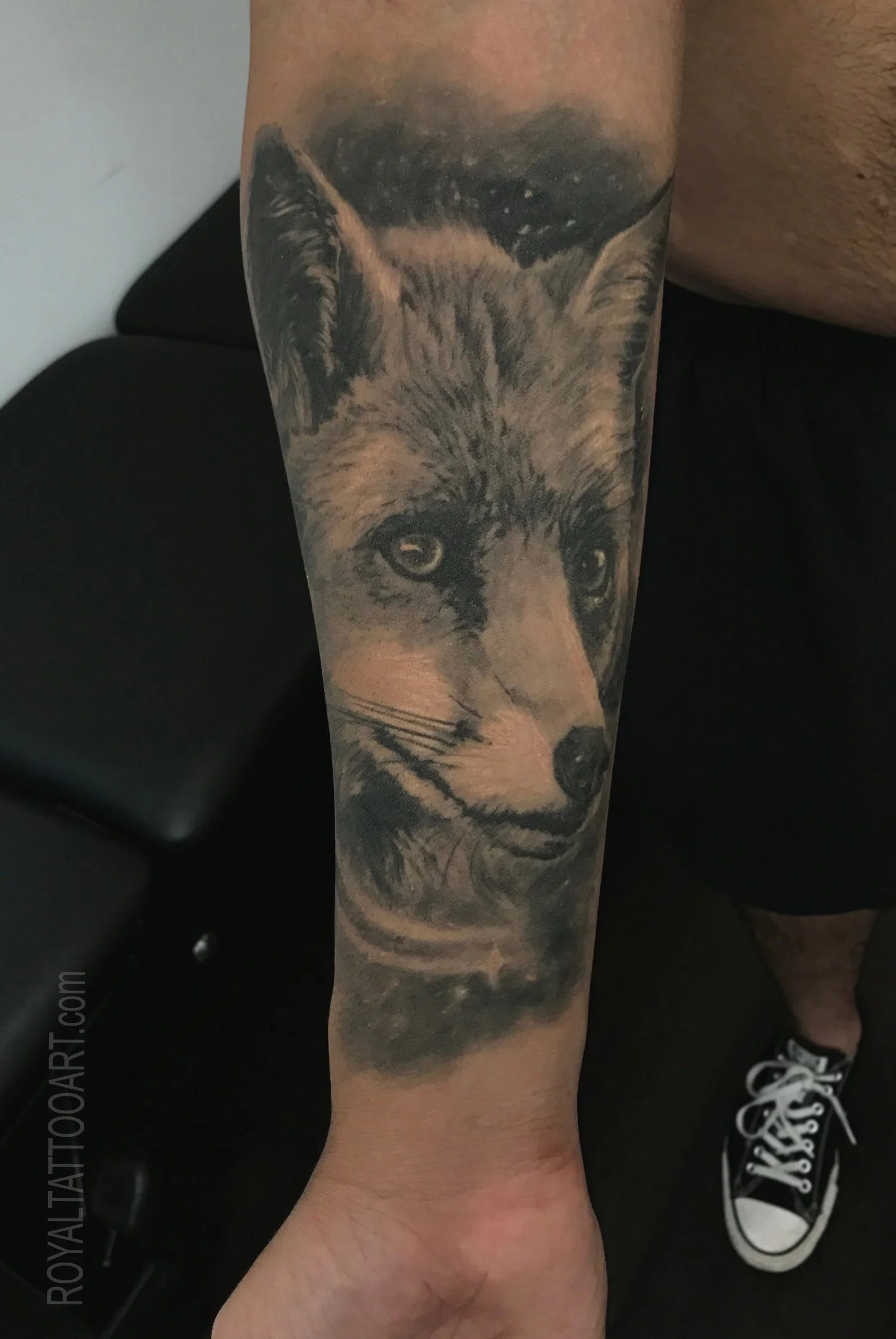 42-fox-portrait-night-sky-forearm-tattoo-black-and-grey-realism-nyc.jpg
