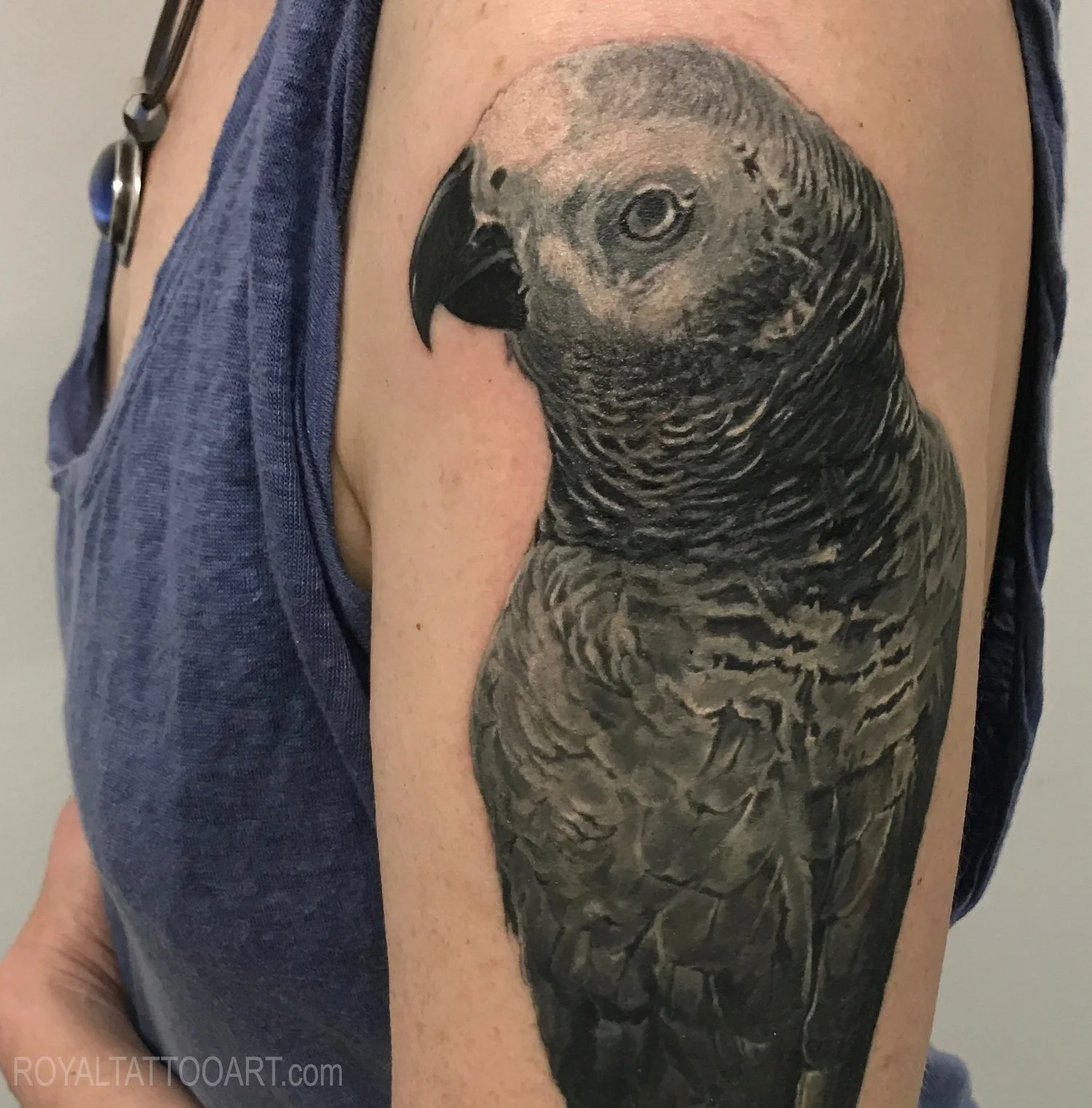 Exceptional African Grey parrot realism tattoo on the arm, tattooed in NYC. Royal Tattoo Art's photorealistic bird portrait captures the intricate feather patterns and intelligent expression of the African Grey, a perfect tribute for exotic bird love