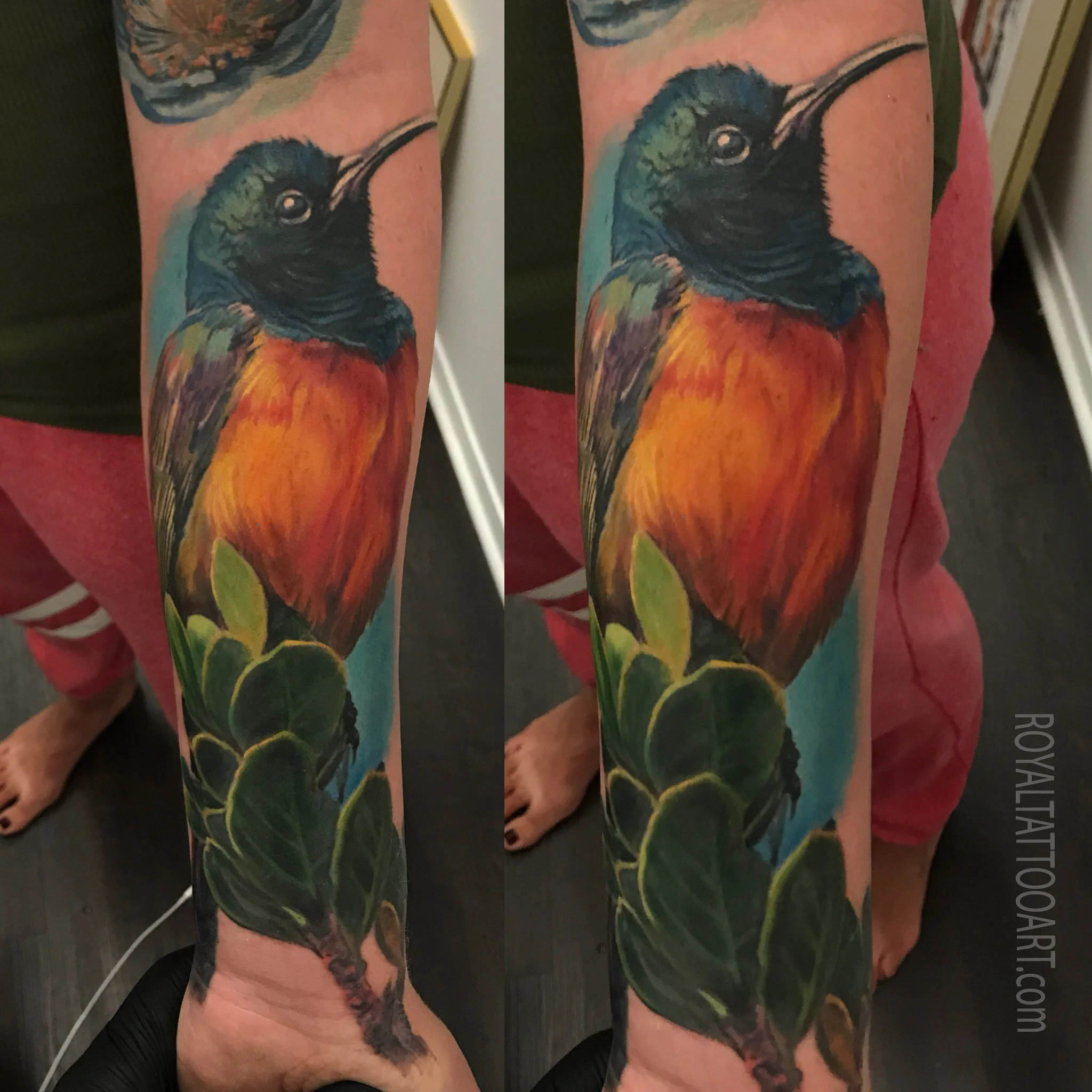 102-bird-tattoo-realistic-color-nyc-tropical-ink-nyc-sleeve-art-artist.jpg