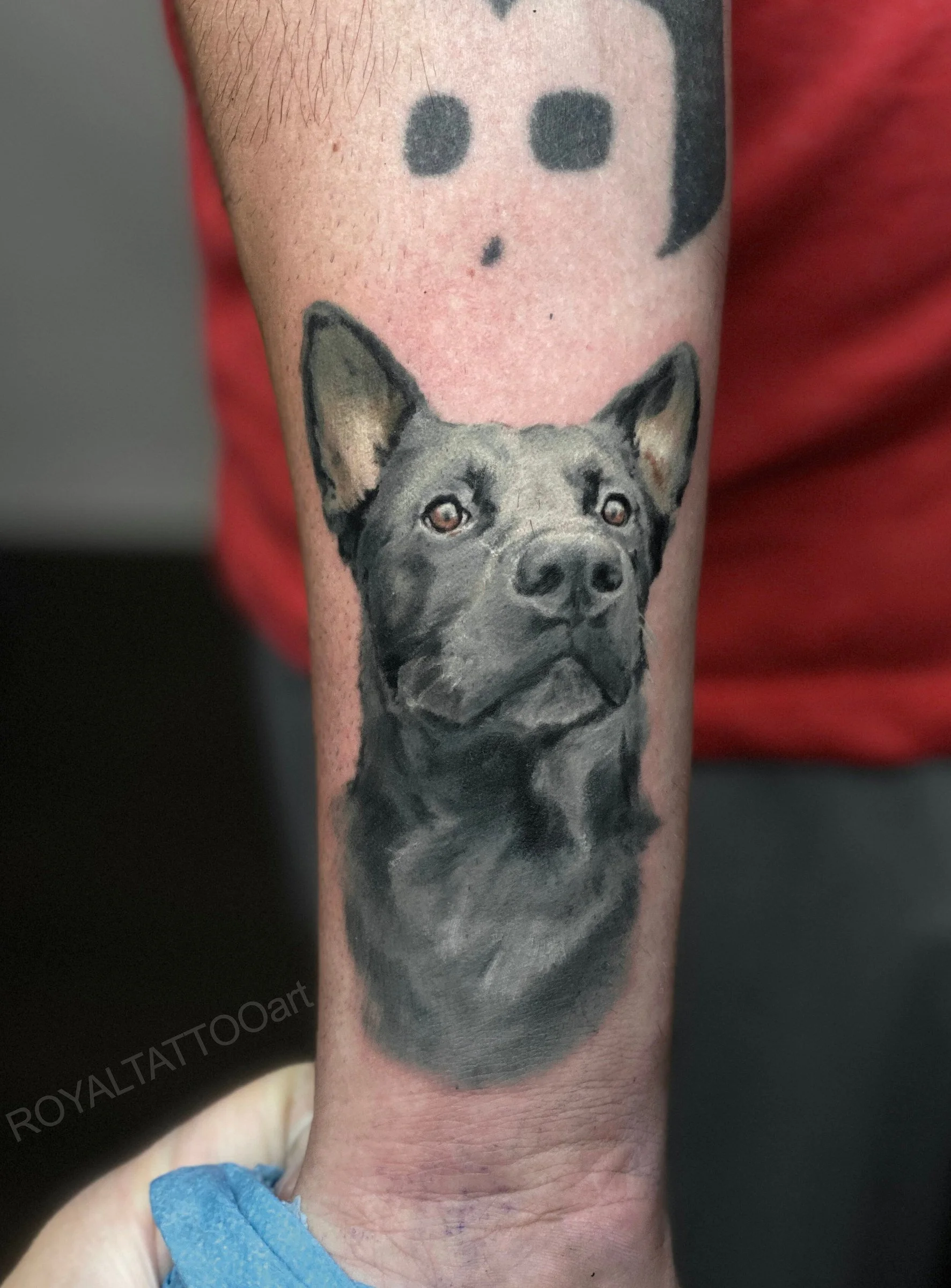 Realistic color dog pet portrait tattoo crafted by expert tattoo artist in NYC. This highly detailed canine portrait tattoo showcases the depth and character of your pet through expert color realism techniques at Royal Tattoo Art.