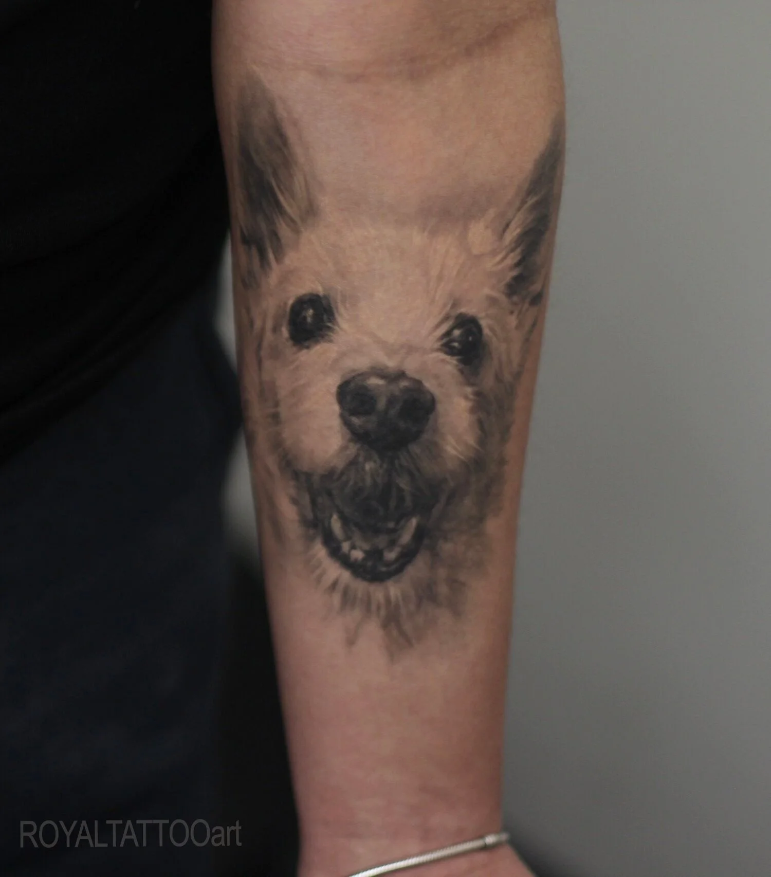 Delicate Westie dog portrait tattoo rendered in soft black and grey realism on the forearm, done in NYC. This custom pet portrait tattoo by Royal Tattoo Art beautifully captures the fluffy charm and gentle spirit of the West Highland Terrier.