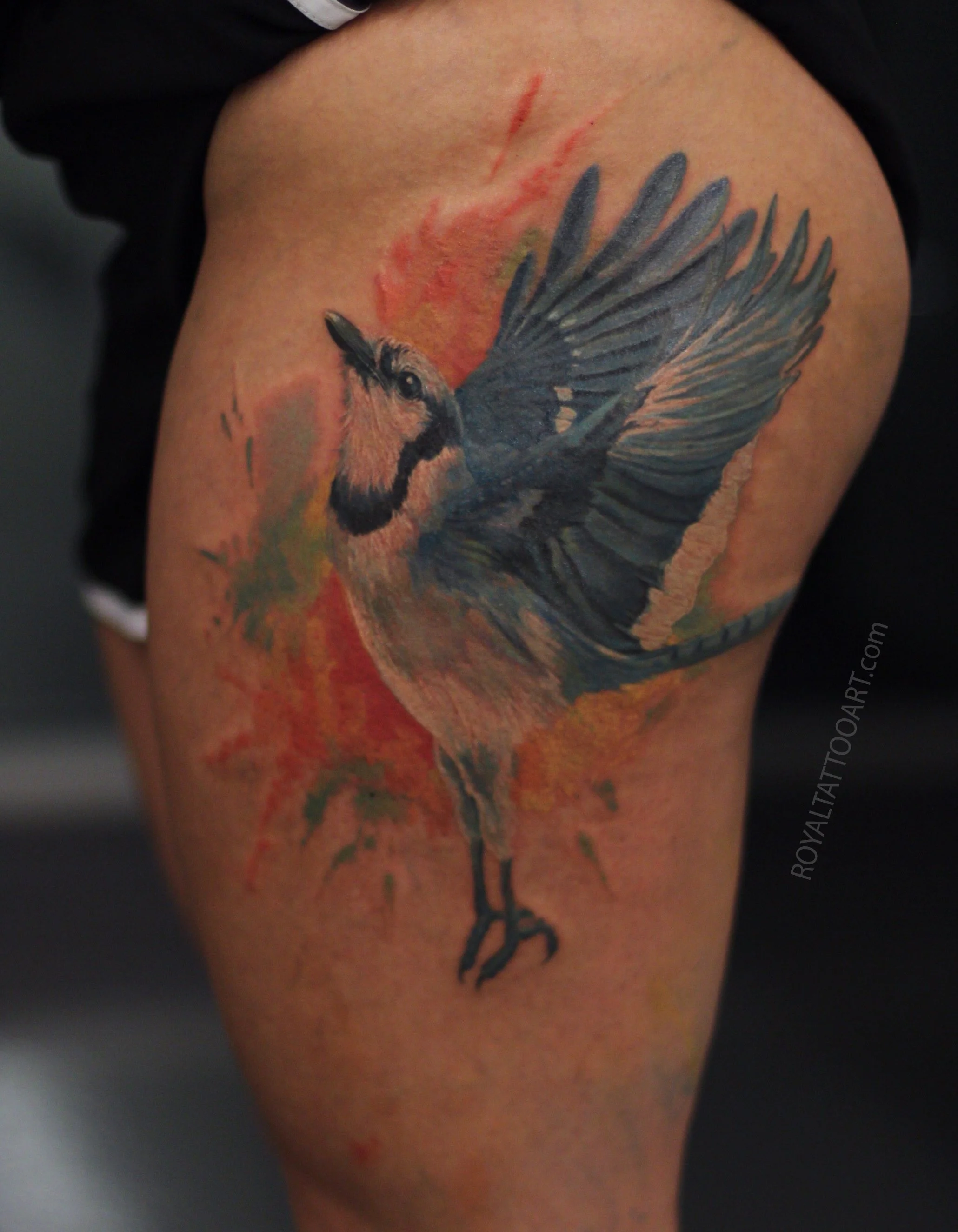 165-blue-jay-realistic-tattoo-water-color-bird-nyc-splatter-stroke-flying.jpg
