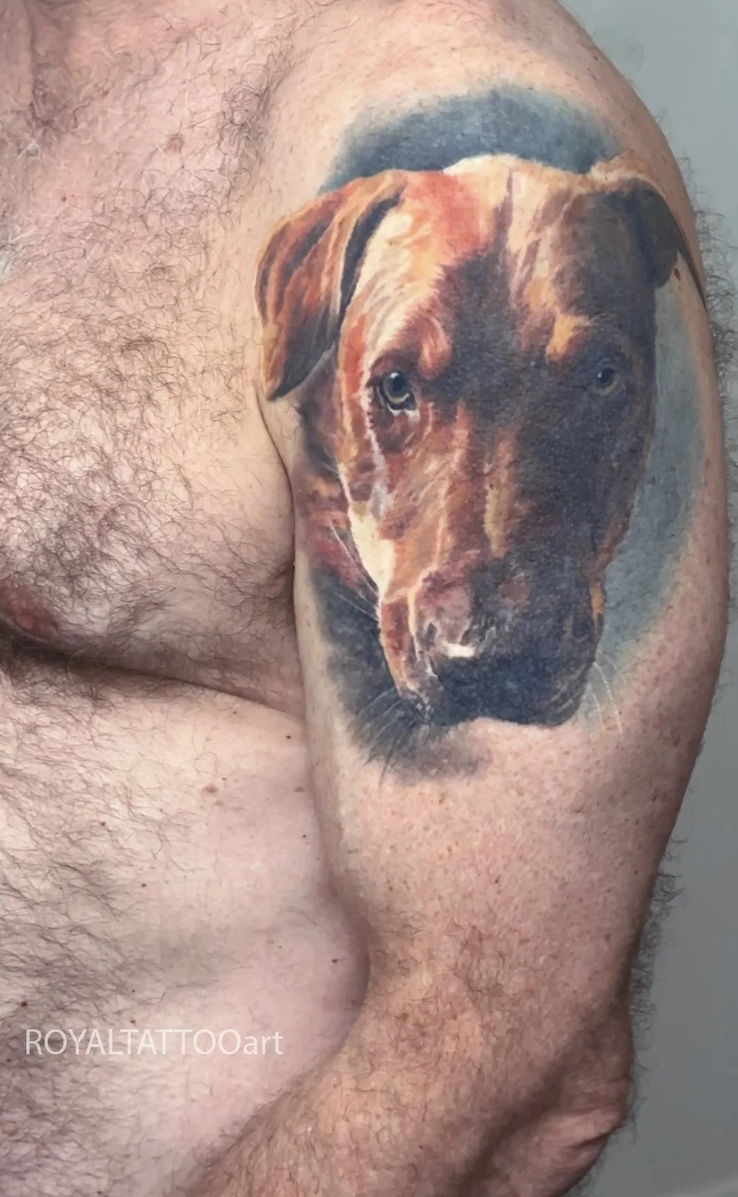 020-pet-portrait-tattoo-dog-color-realism-nyc-manhattan.jpg