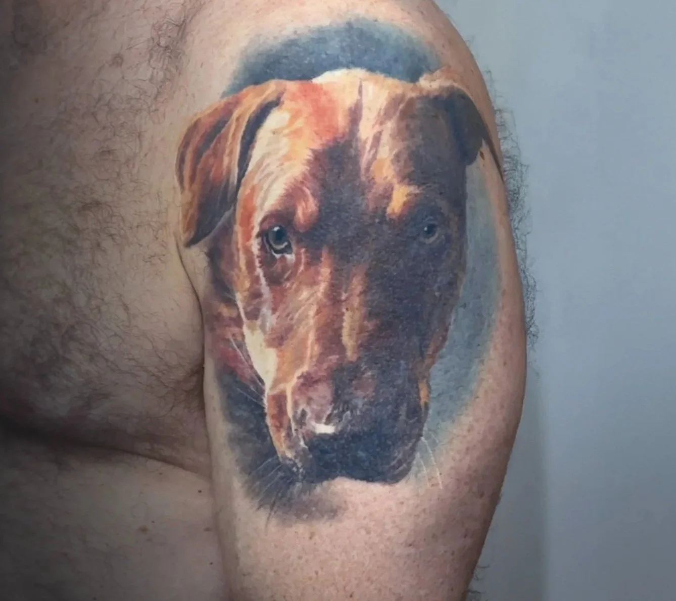 Animal & Pet Portrait Tattoos