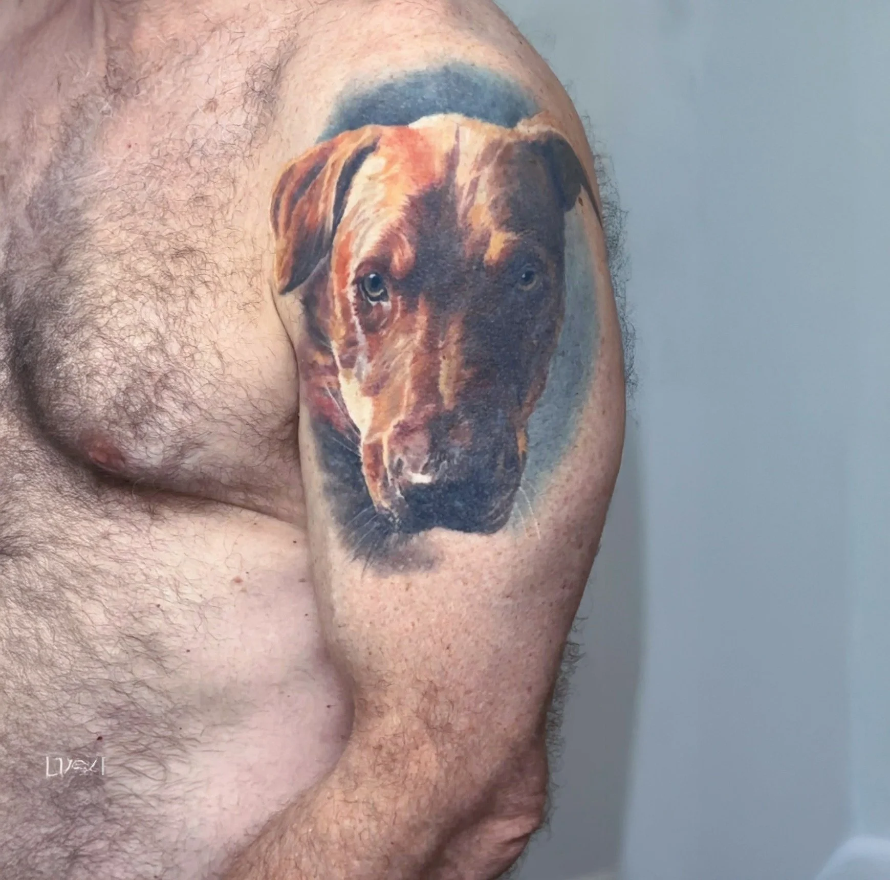 dog-pet-portrait-realism-tattoo-nyc.jpg