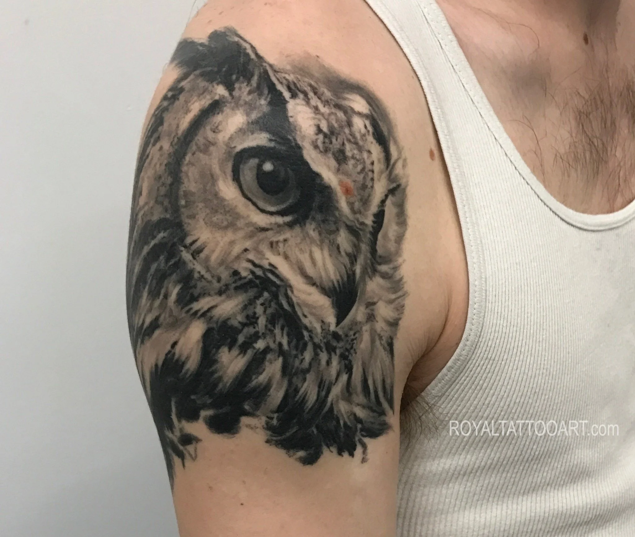Majestic owl portrait tattoo in black and grey realism on the upper arm, created in NYC. Royal Tattoo Art captures the piercing gaze and intricate feather detail of this magnificent bird, making it one of the most sought-after animal portrait tattoos