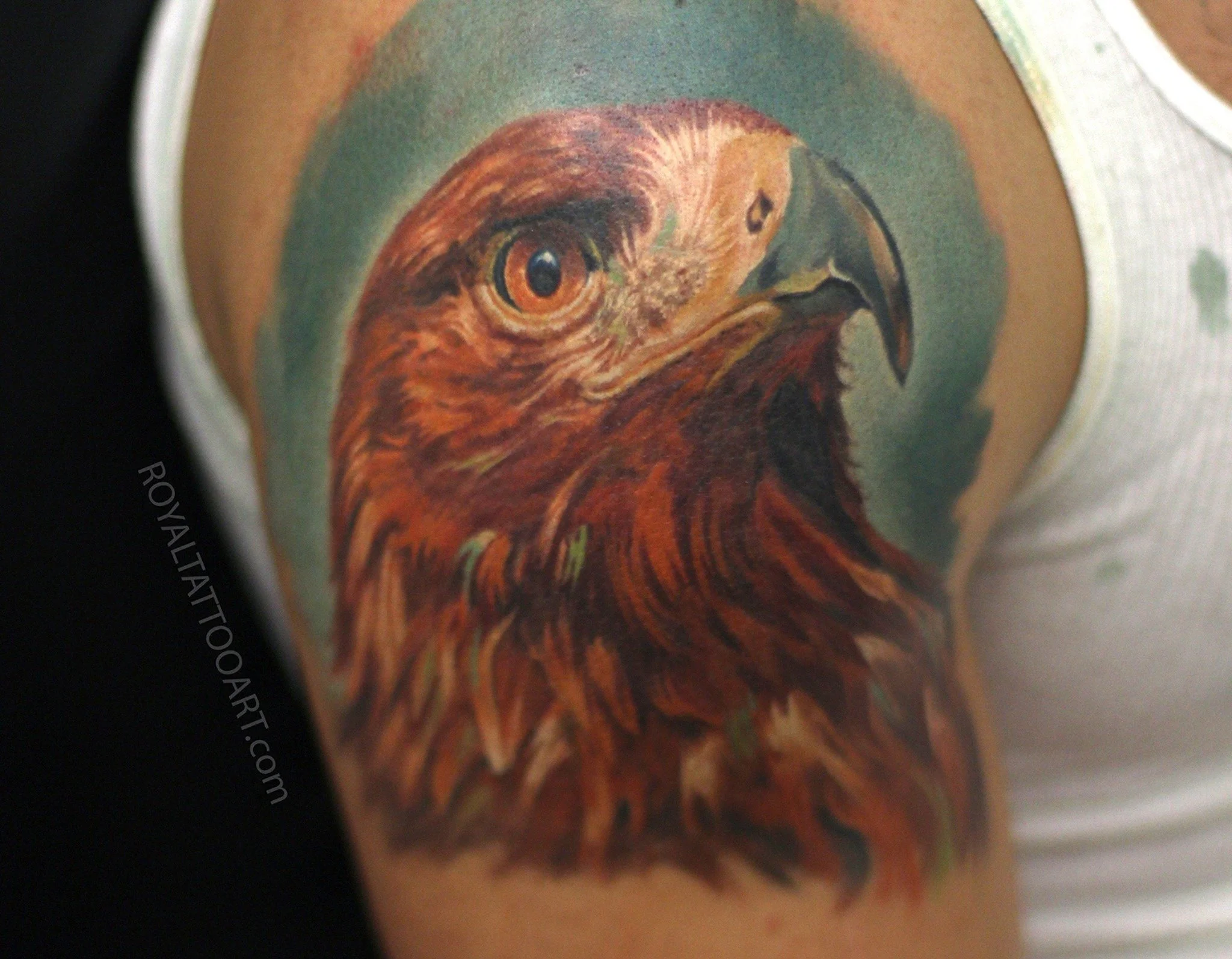 Powerful eagle portrait tattoo in vivid color realism on the shoulder, done in NYC. Royal Tattoo Art's masterful technique brings the regal eagle to life with stunning feather detail and intense gaze — a bold statement piece for animal and nature ent