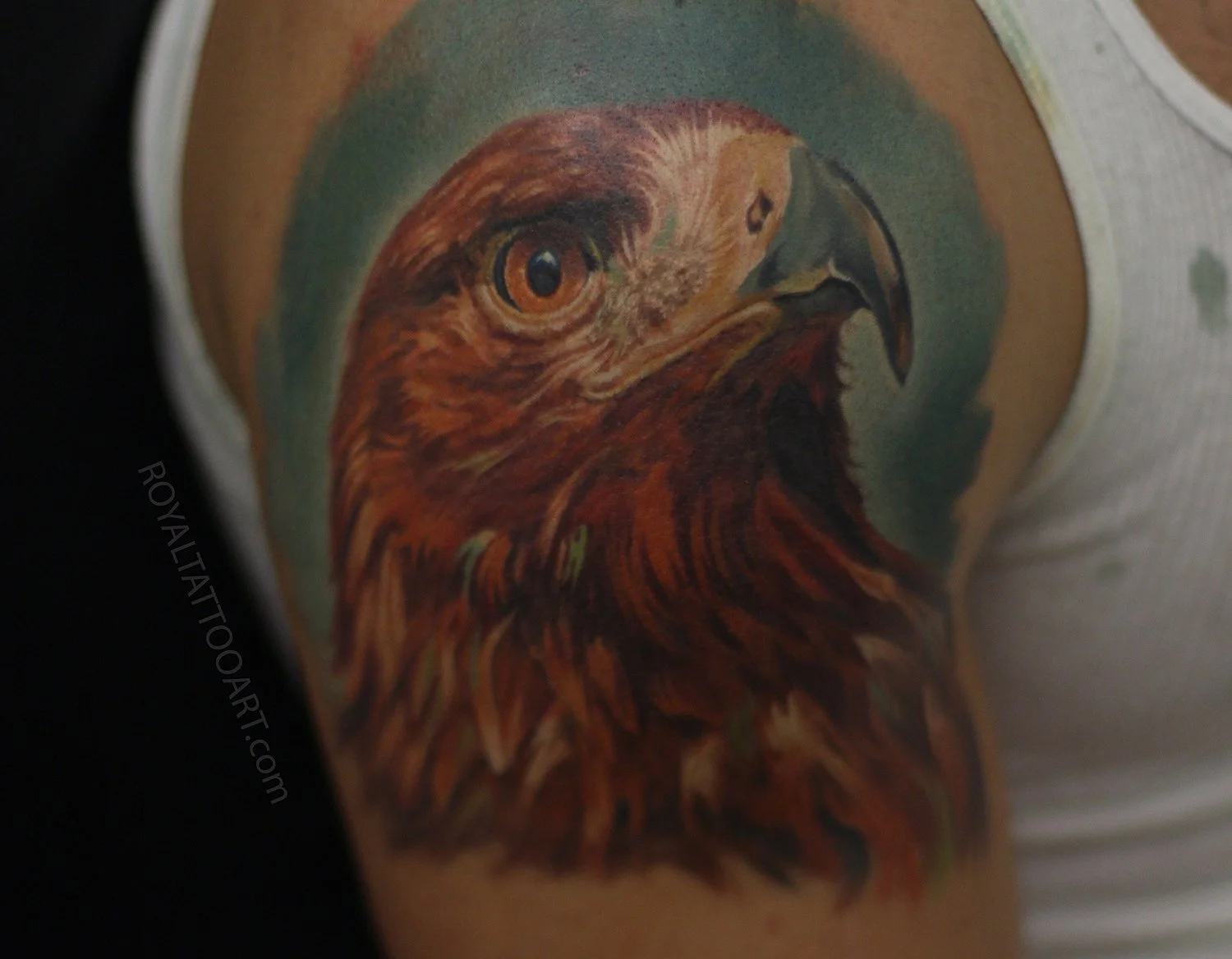 159-eagle-portrait-tattoo-mexican-hawk-nyc.jpg