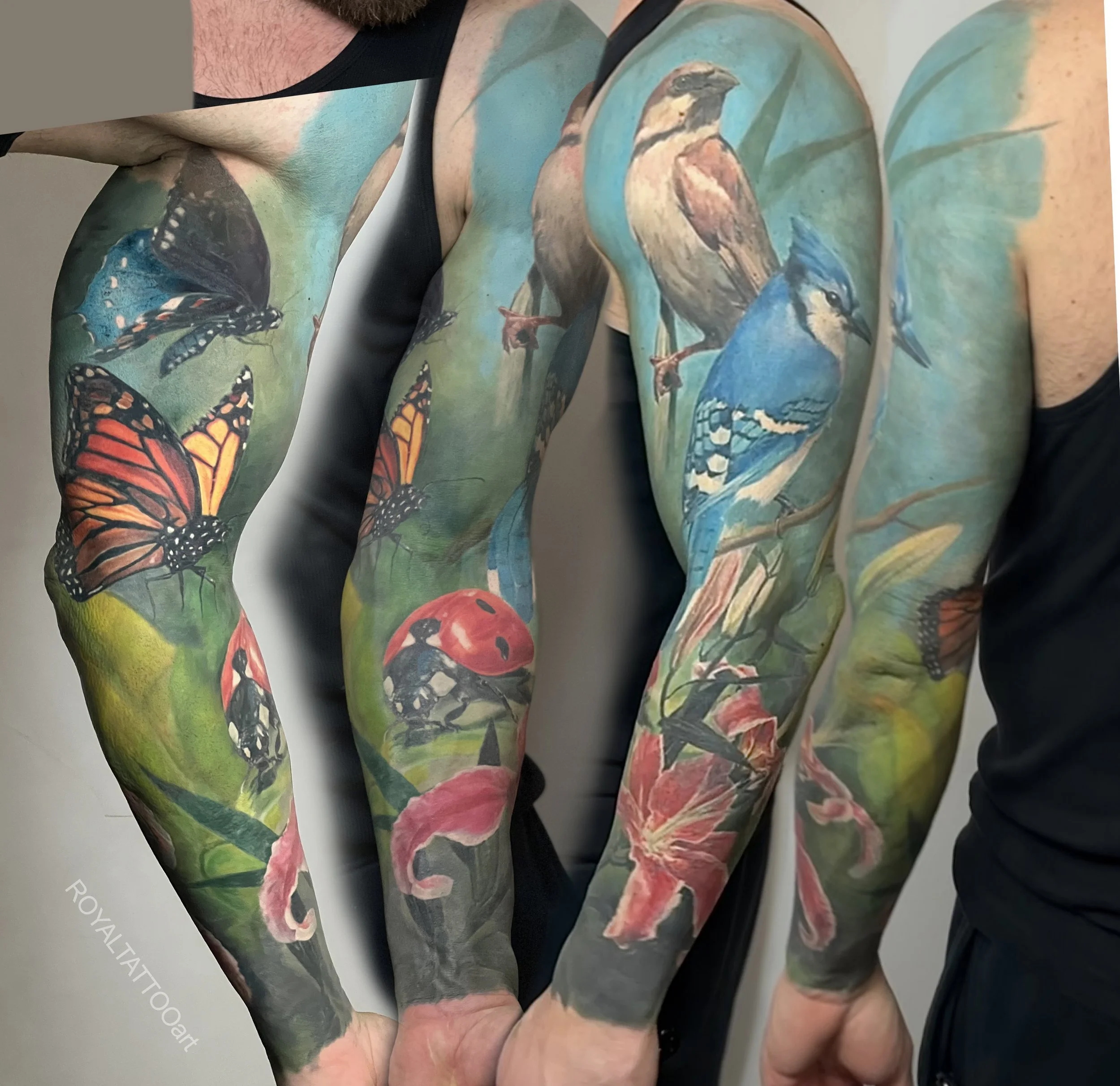 004-joe-sleeve-tattoo-arm-color-realistic-nycbird-blue-jay-sparrow-lady.jpg
