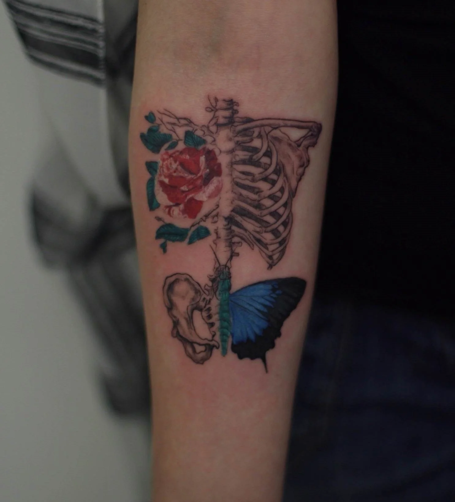 skeleton-rose-butterfly-tattoo-color-linework-nyc.jpg