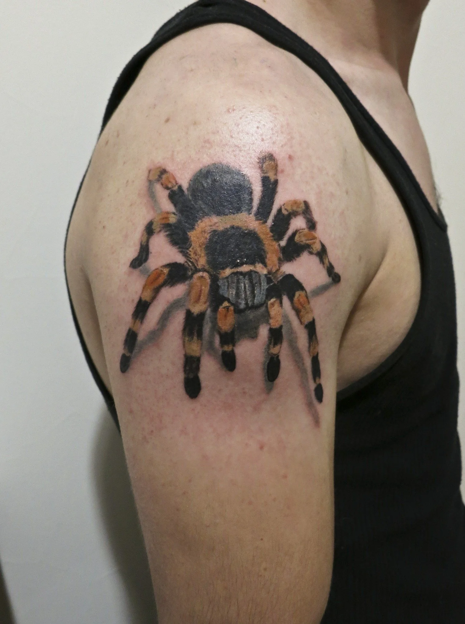 Hyperrealistic tarantula spider tattoo on the shoulder, crafted in NYC by Royal Tattoo Art. This striking exotic pet portrait captures every hair and leg segment of the tarantula in meticulous realism — perfect for arachnid enthusiasts looking for a 