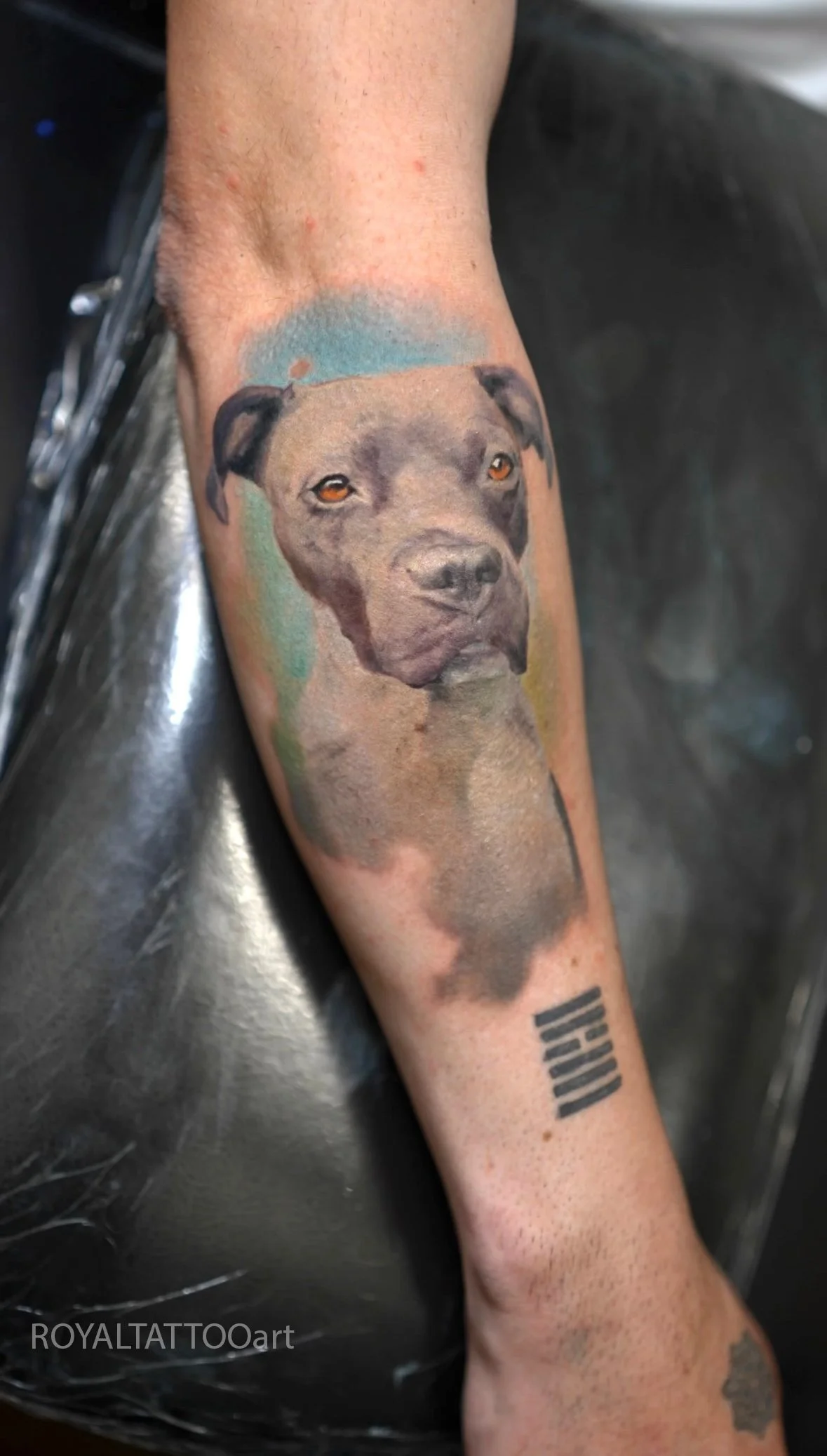 Stunning color realism pitbull dog portrait tattoo on the forearm, created at Royal Tattoo Art NYC. This custom pet memorial tattoo captures every detail of your dog's face with lifelike precision using vibrant color realism techniques.