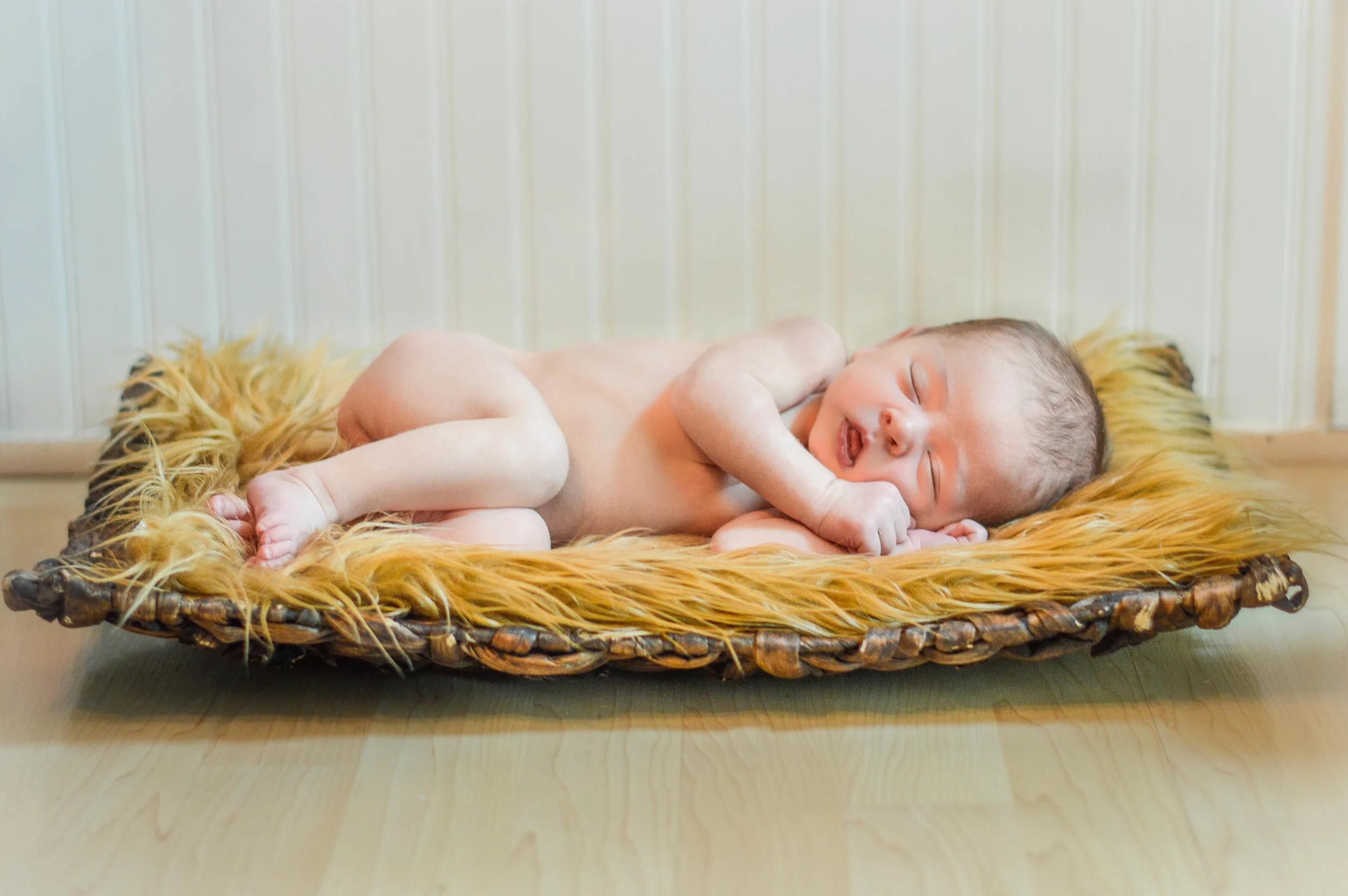 Brody-1-4.jpg
