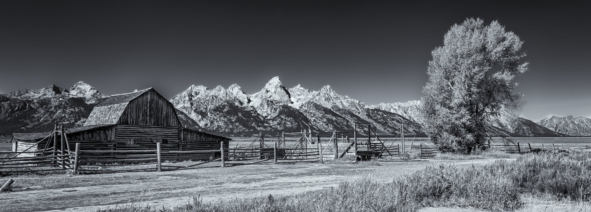 Tetons-14.jpg