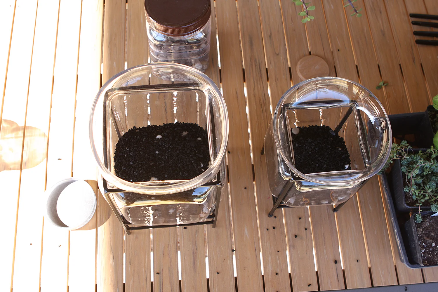 terrariumcharcoal web.jpg