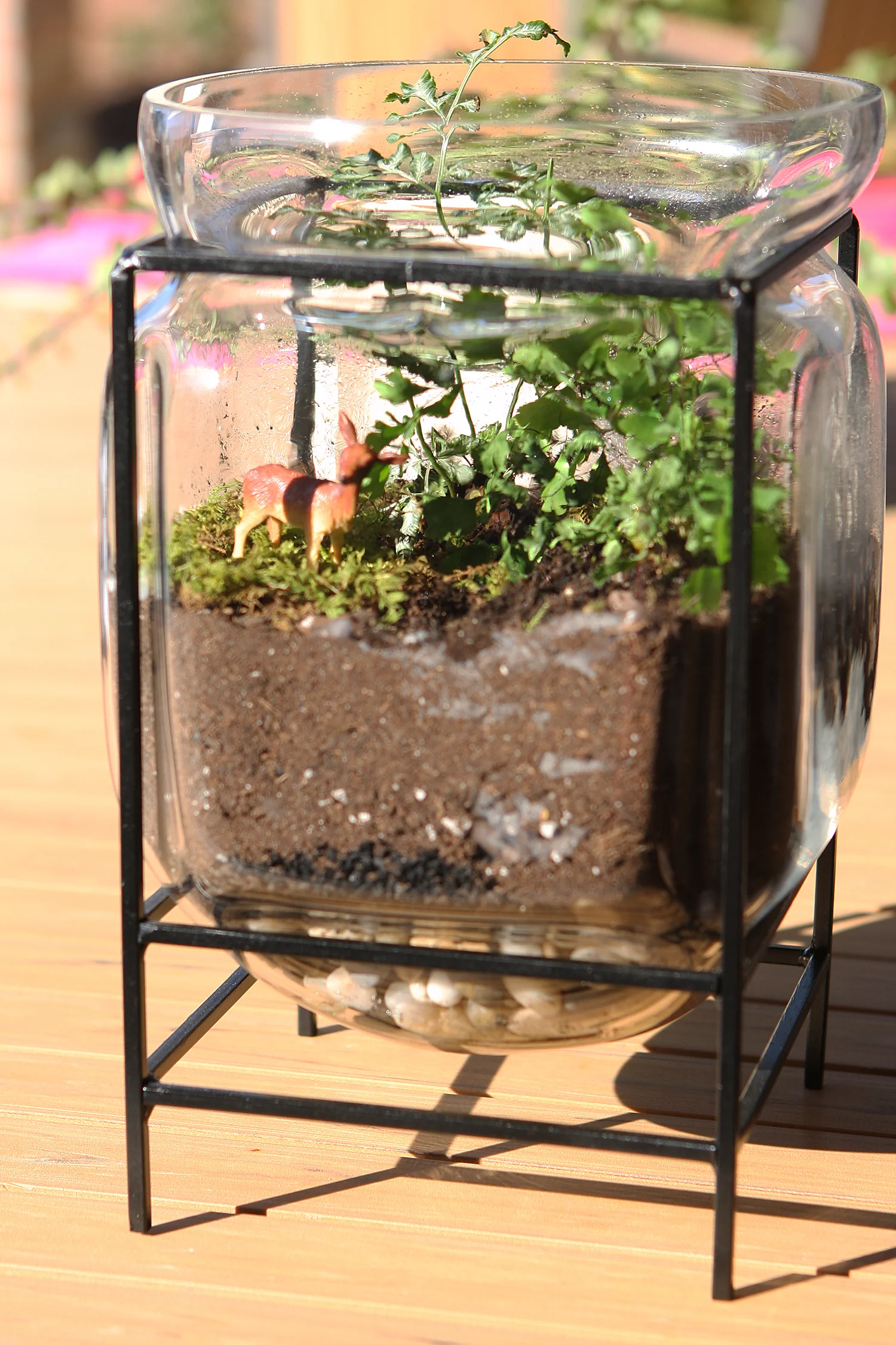 fernterrarium web.jpg
