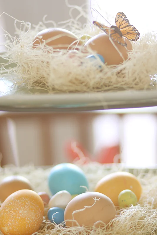 eggandbutterfly web.jpg
