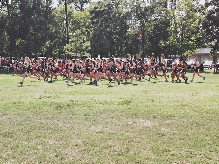 XC web.jpg