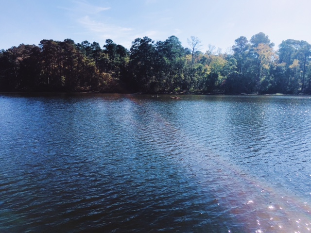 Huntsville State Park, Thanksgiving 2016