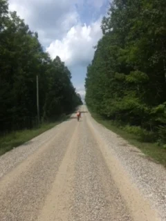 The Unintended Consequences of Gravel Riding: A Road Racers journey to Gormont