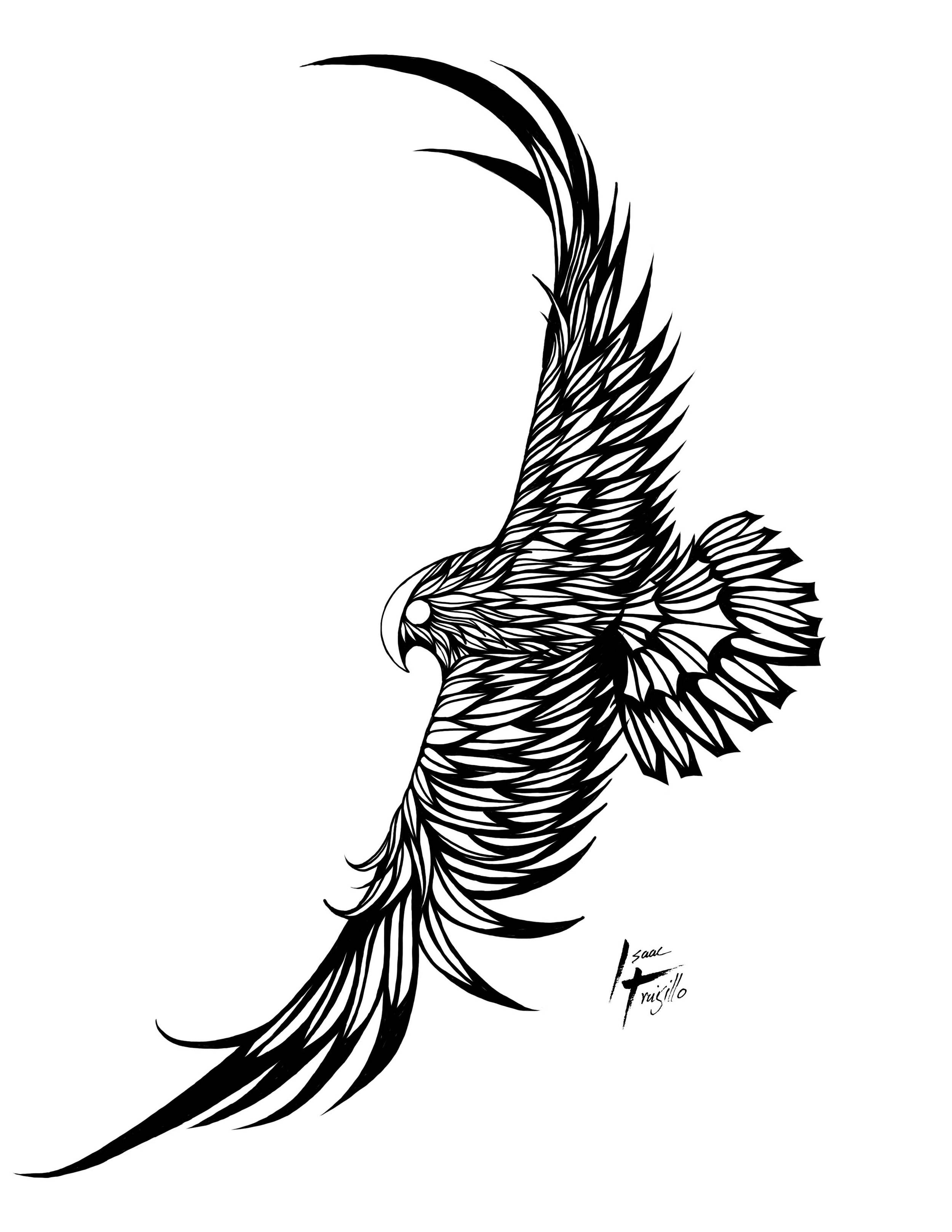 90 Falcon Tattoo Designs For Men  Winged Ink Ideas