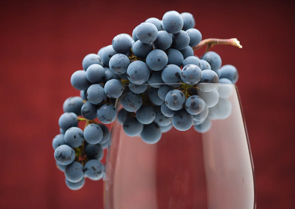 Cabernet Sauvignon grapes