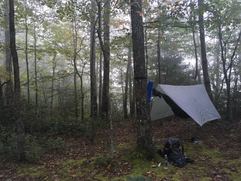 hammockCamp.jpg