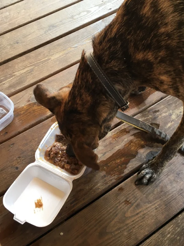hobbesBurger.jpg