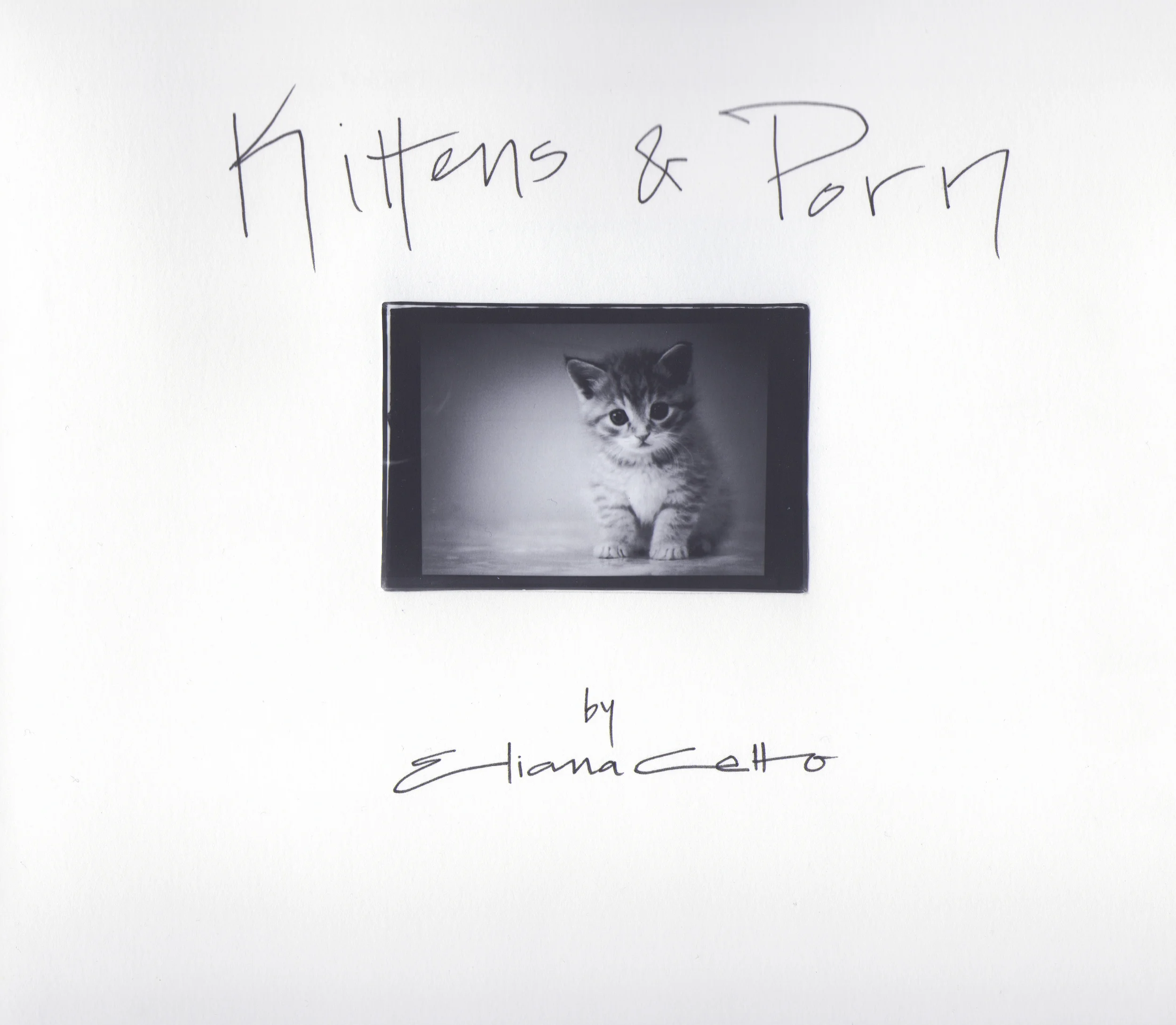 Kittens & Porn , 2011 Hand bound silver gelatin prints with watercolor and ink. Kittens & Porn (2011) is an analog representation of a digital experience. Domestic spaces, pornographic websites, mass-media imagery, and baby kittens meld into an incoherent mapping of Internet consumption exposed just long enough for echoes of thought to be extracted. The trading-card sized silver gelatin prints of computer screens, pop cultural references, and scenes from the barrio utilize hashtags, Internet language, and mimetic tropes to explore new communal languages and notions of the cultural self. Street vernacular was standard growing up in Stockton California, called the nation’s most miserable city to live in by Forbes in 2011. The parallel codes of street slang and Internet communication were the indexes used to explore language in Kittens and Porn to imbue meaning through attitude. Intersectional oppressions, reflections of mi pueblo , and the politics behind urban neighborhoods begin to reveal the larger issues within the intimate scope of the narrative “selfie.” The every-day imagery is familiar but the text is flippant and fragmented, like a screen capture of an online conversation in which the viewer was never involved. The frenetic mixture of content investigates a contemporary mode of existence that is captured only for a moment, and then allowed to resume its frenzied motion. 