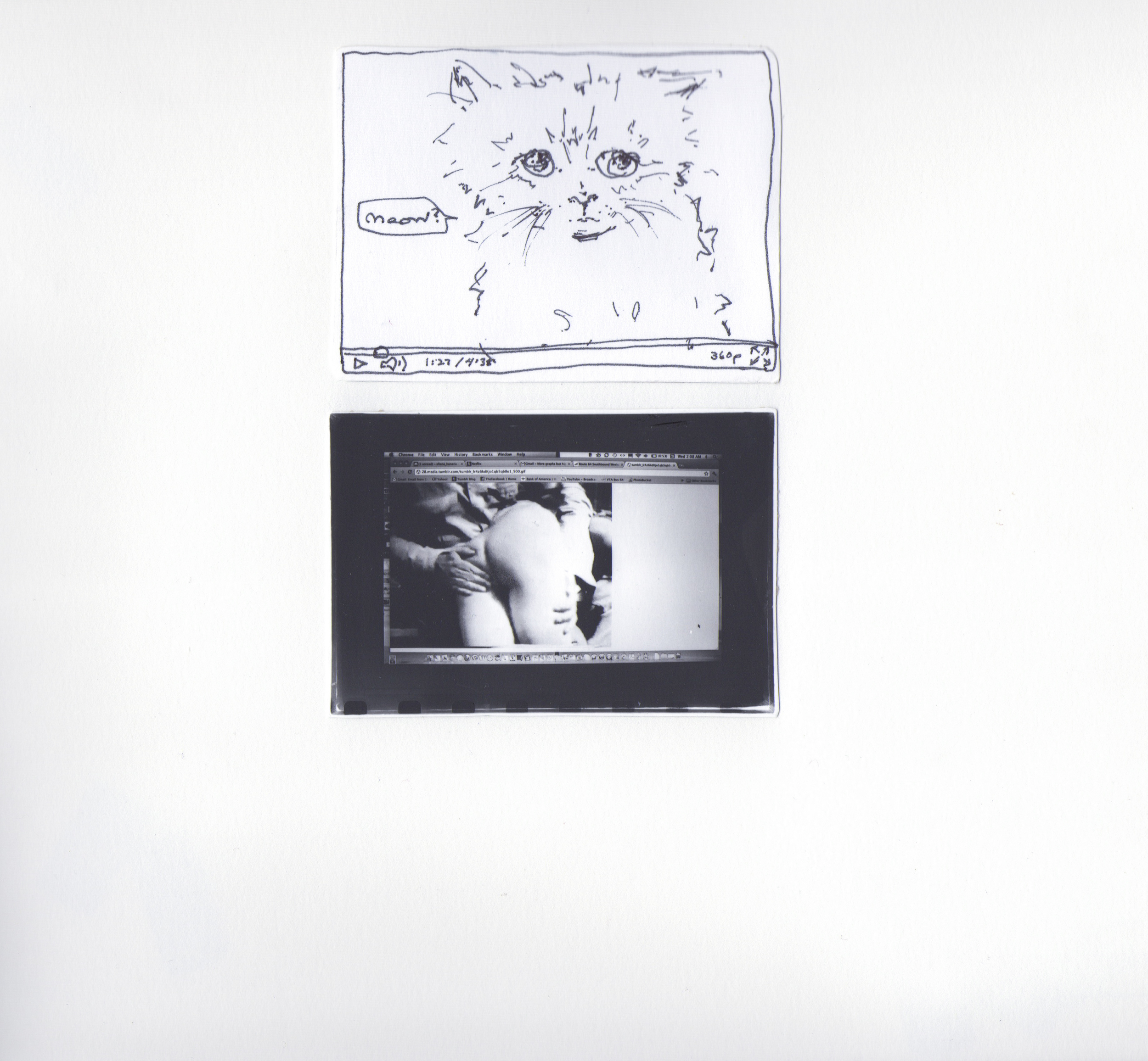 Kittens and Porn, 2011 Hand bound silver gelatin prints with watercolor and ink. 