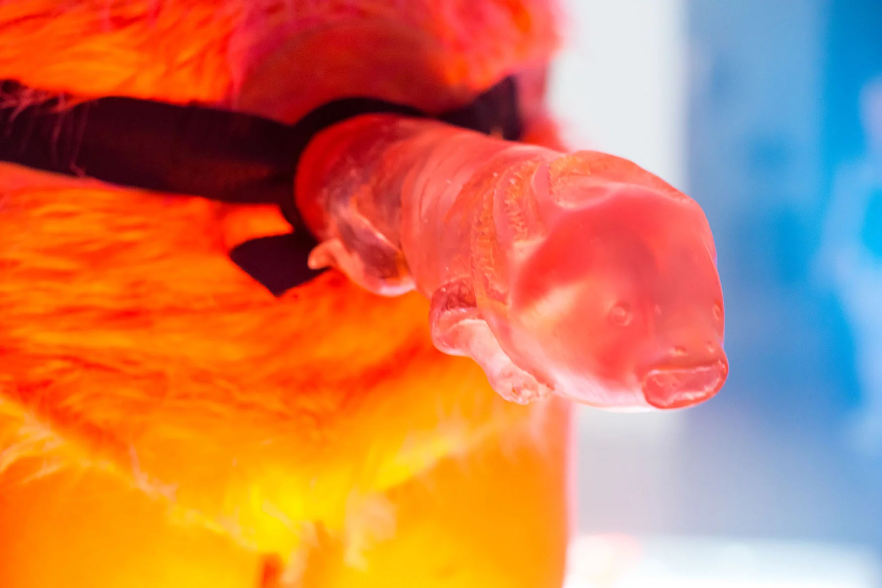 Naomi Rincón Gallardo (2017). The Formaldehyde Trip. Photo: Eliana Cetto