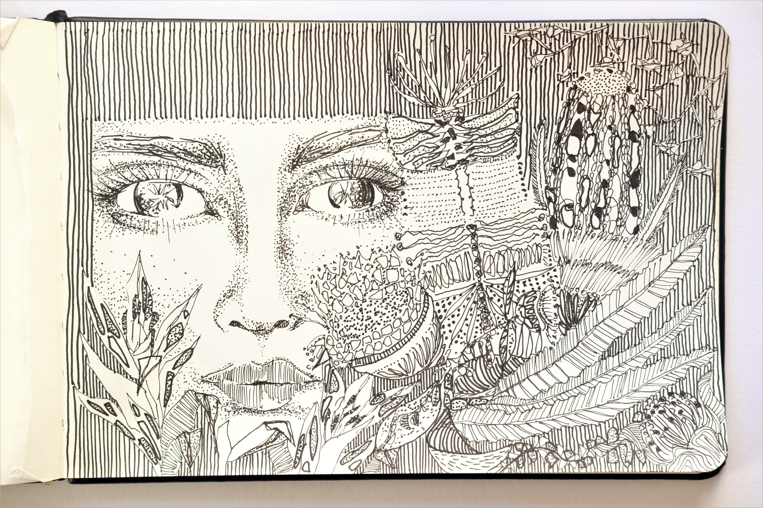 DSCF1373.JPG