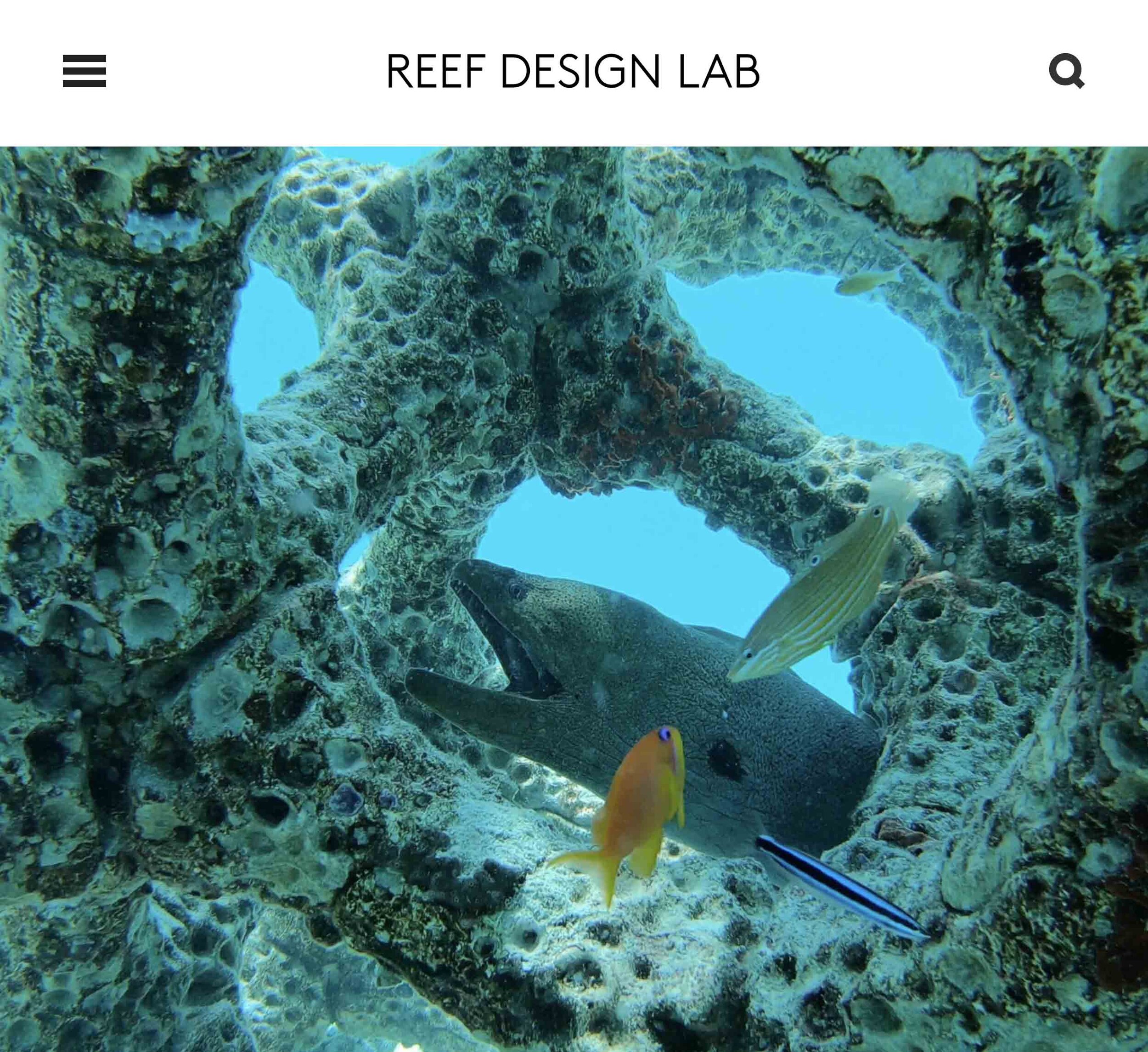 Reef Design Lab — ALEX GOAD