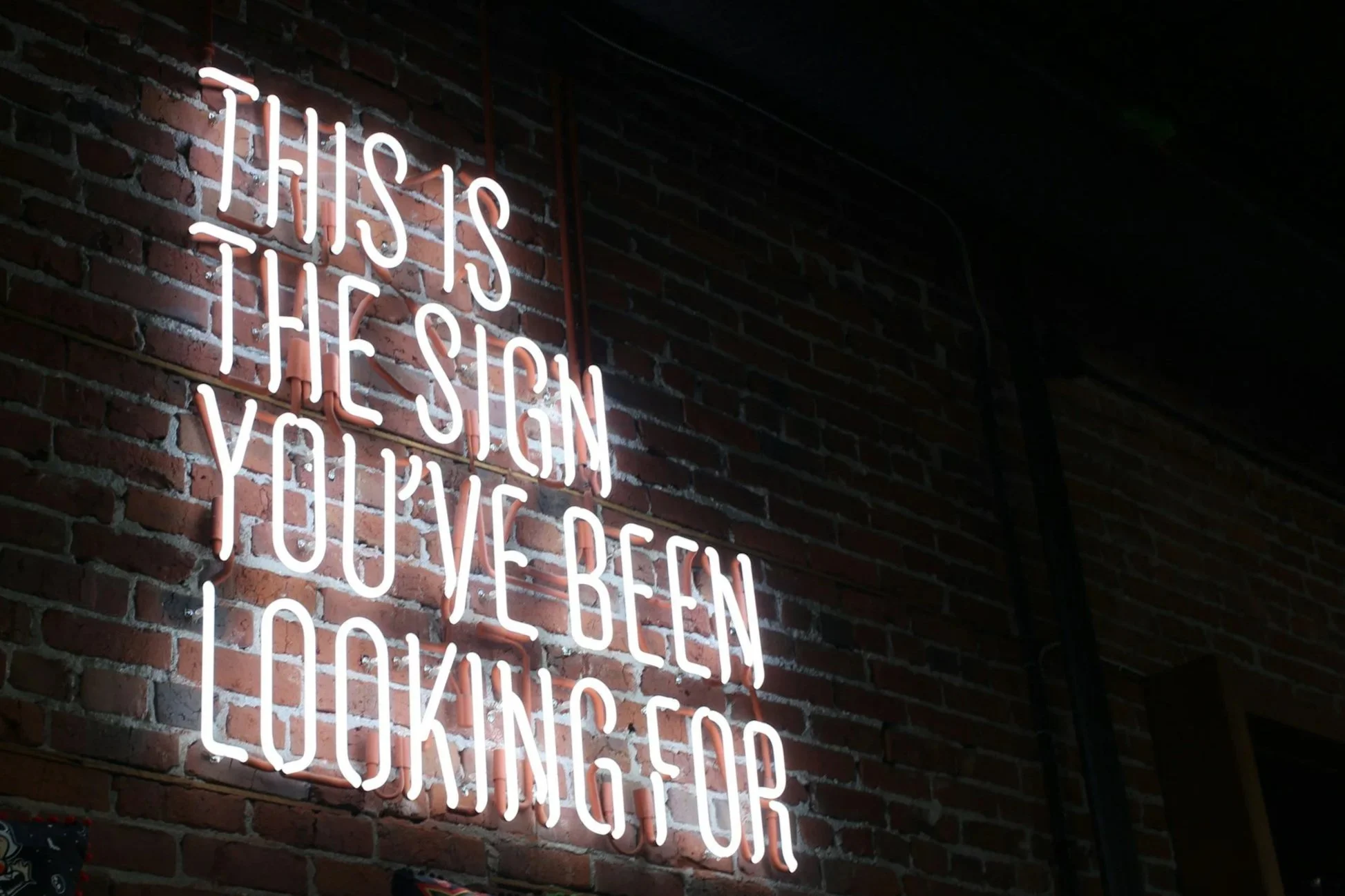 A neon sign, with white letters against a brick background, that reads: THIS IS THE SIGN YOU'VE BEEN LOOKING FOR