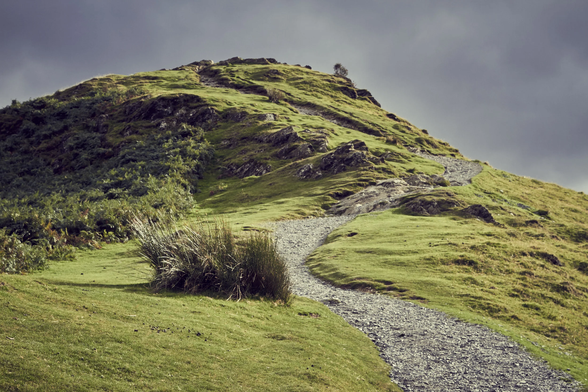 Catbells - Martyn Butler [IMG_8462].jpg