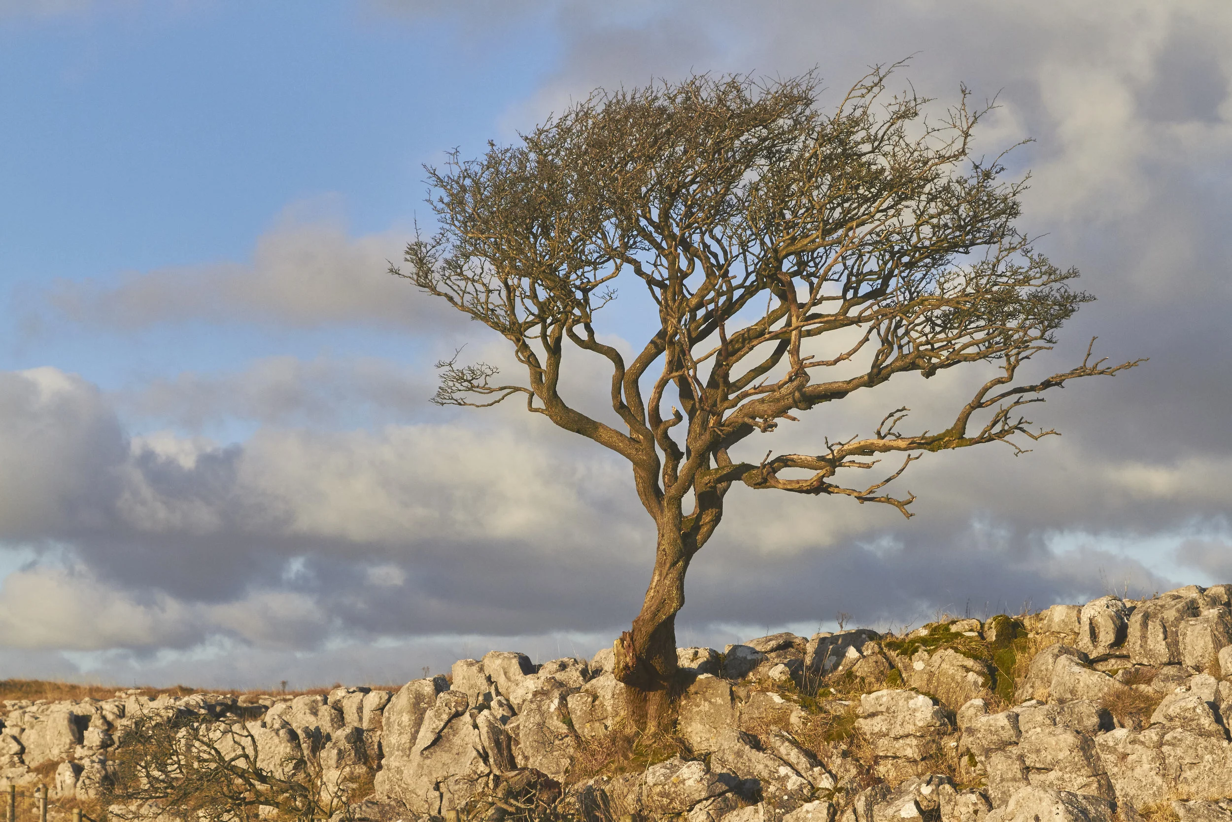 Malham Tarn 04.12.16 - Martyn Butler [IMG_0218].jpg