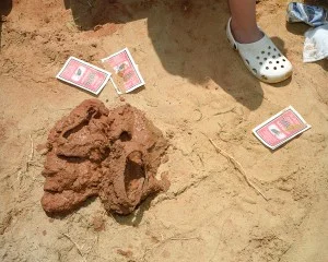 mdm 3.jpg