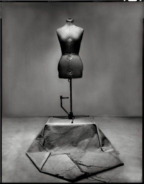 image by Michael Tardioli