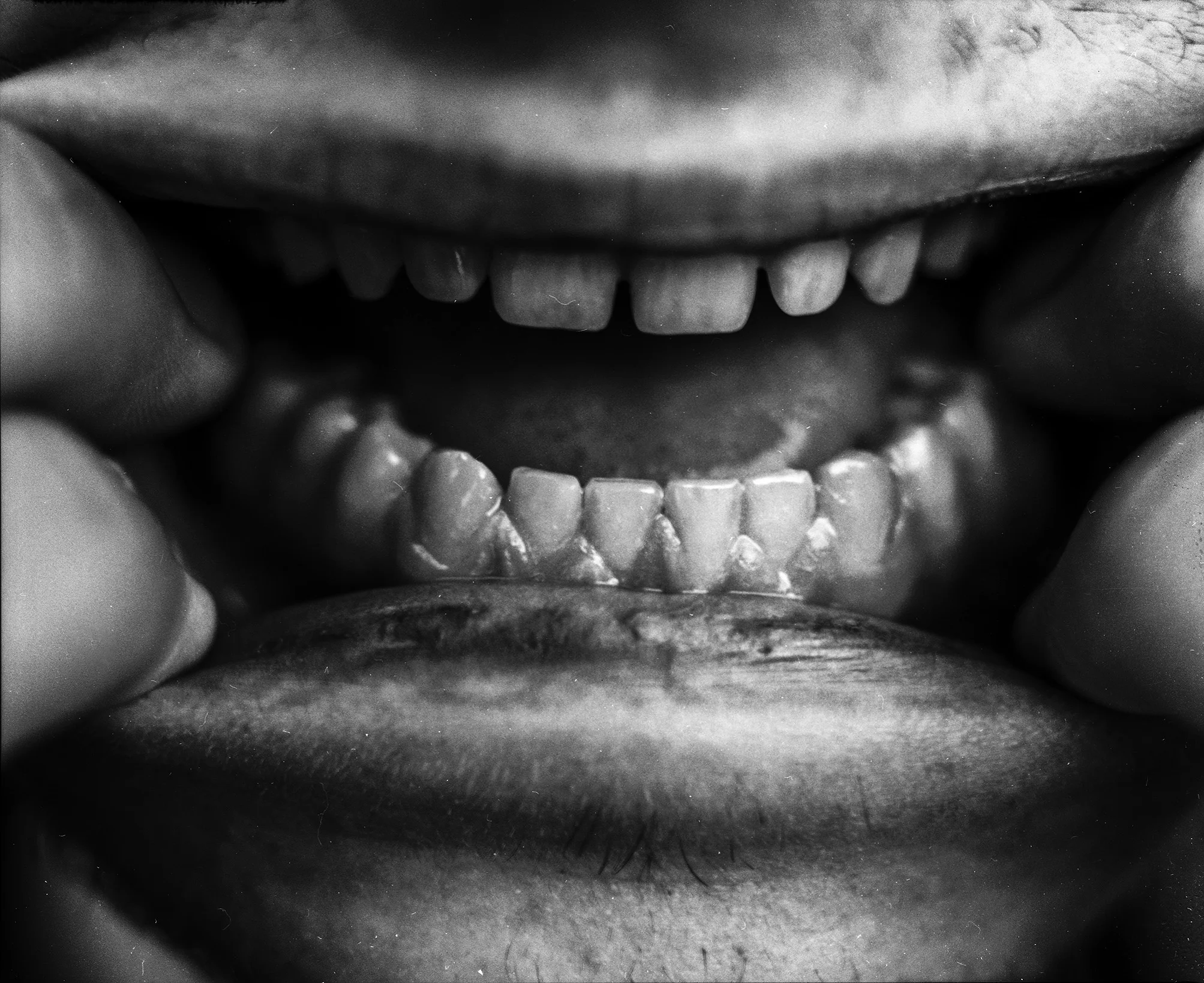 image by SPAO alumnus Pablo Gaytan Melendez