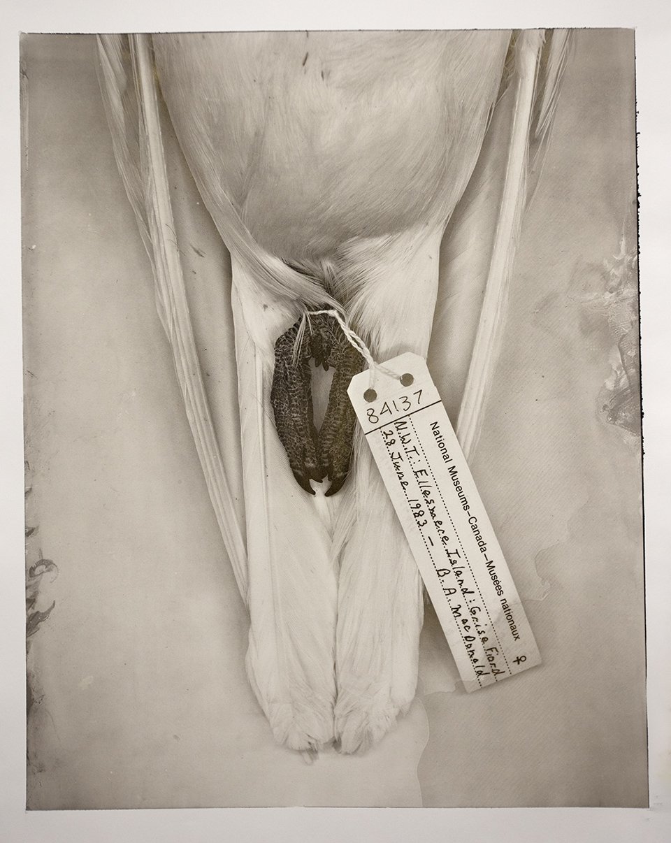 Christine Fitzgerald