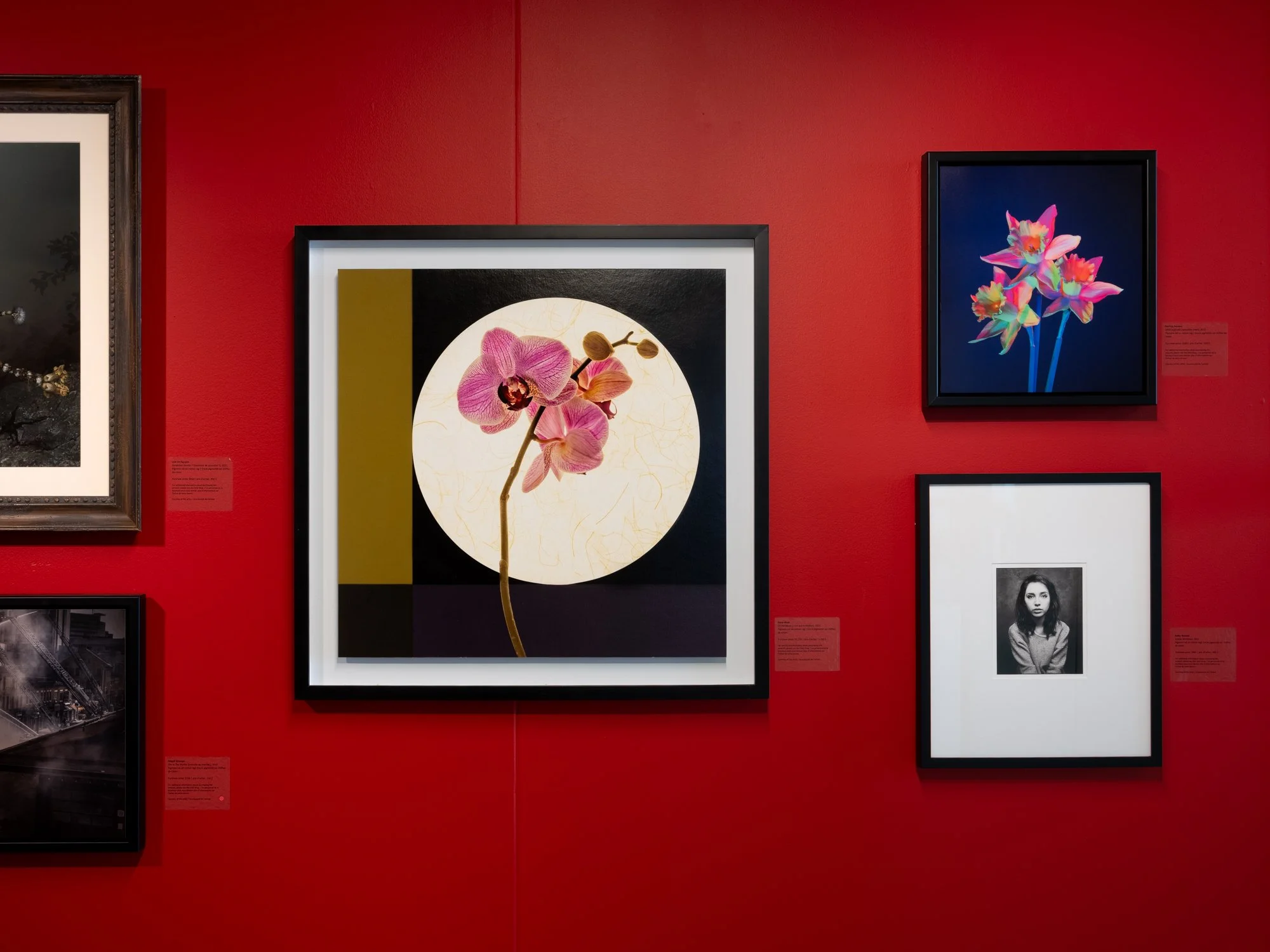 On the Shoulders of Giants_Installation Views 23_LoRes.JPG