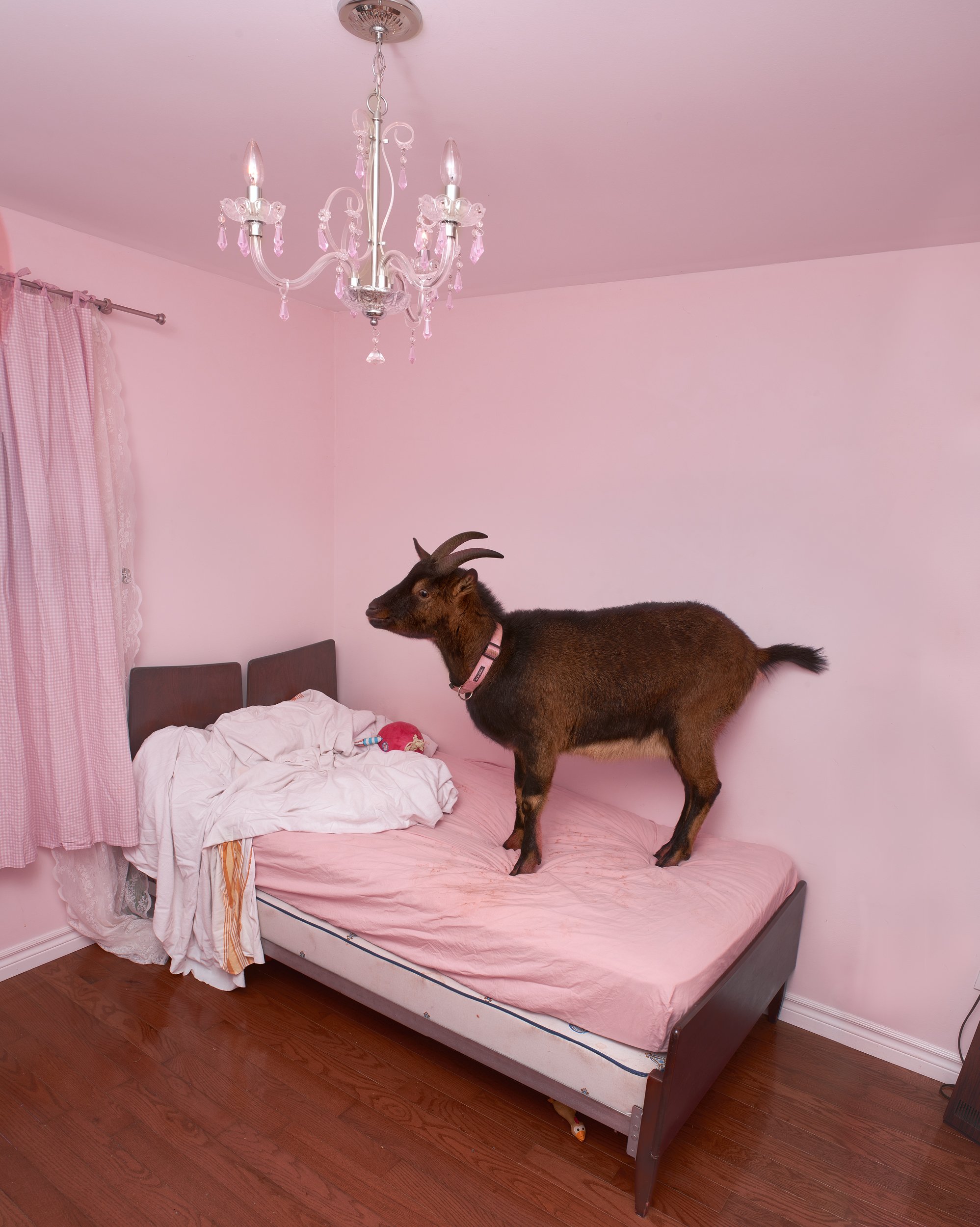 girlsroom_fullres.jpg